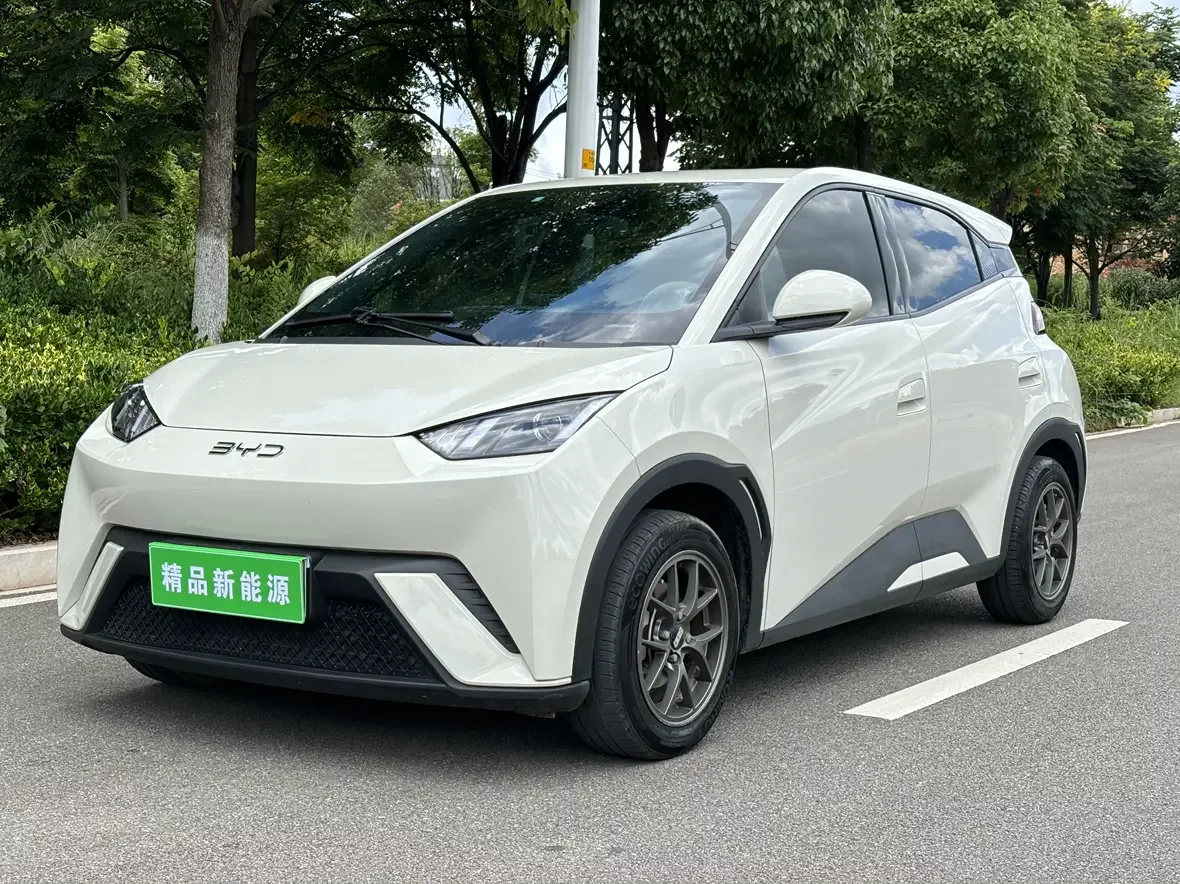 BYD seagull