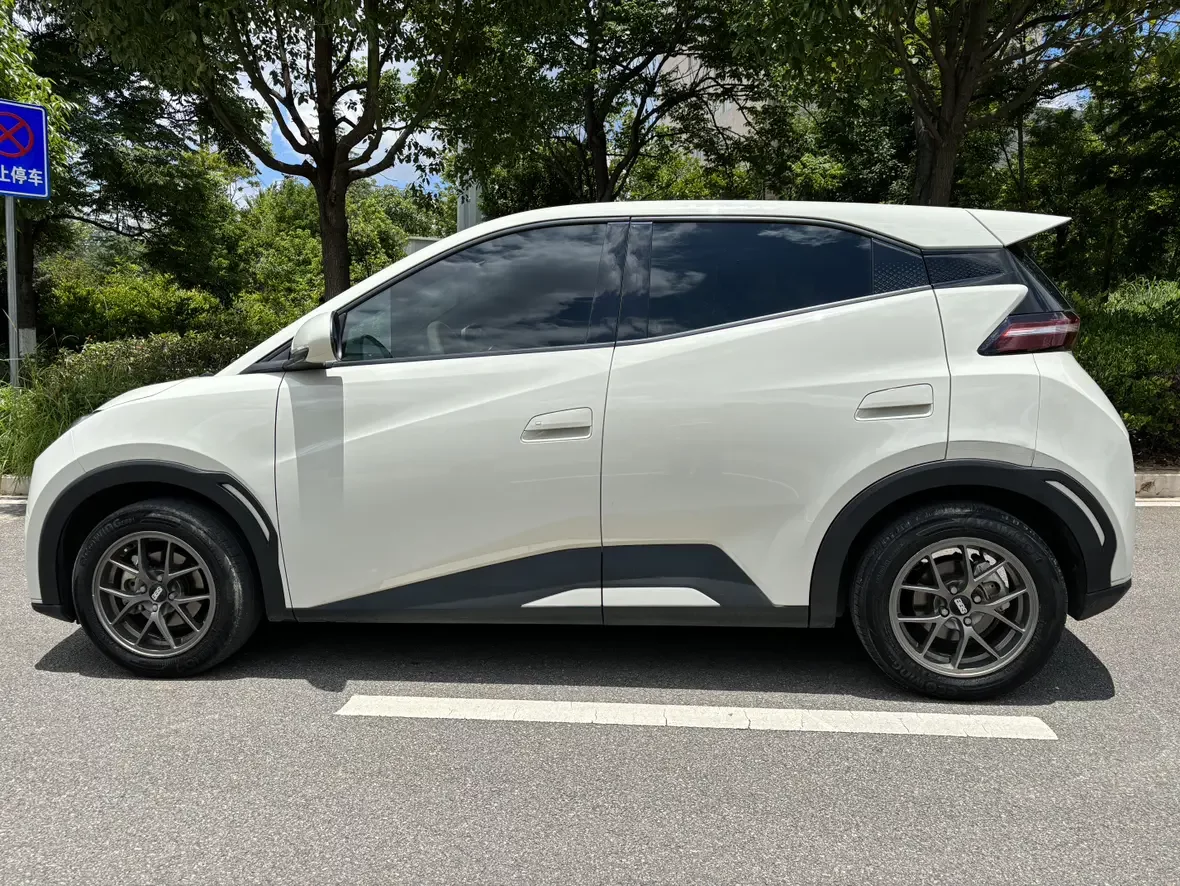 BYD seagull