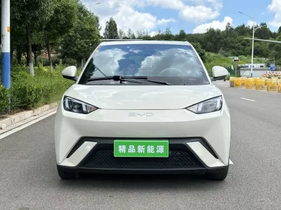 BYD Seagull