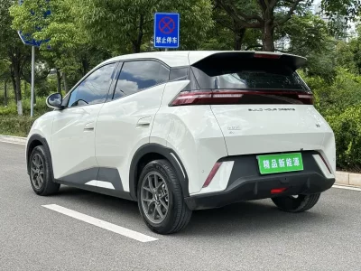 BYD Seagull