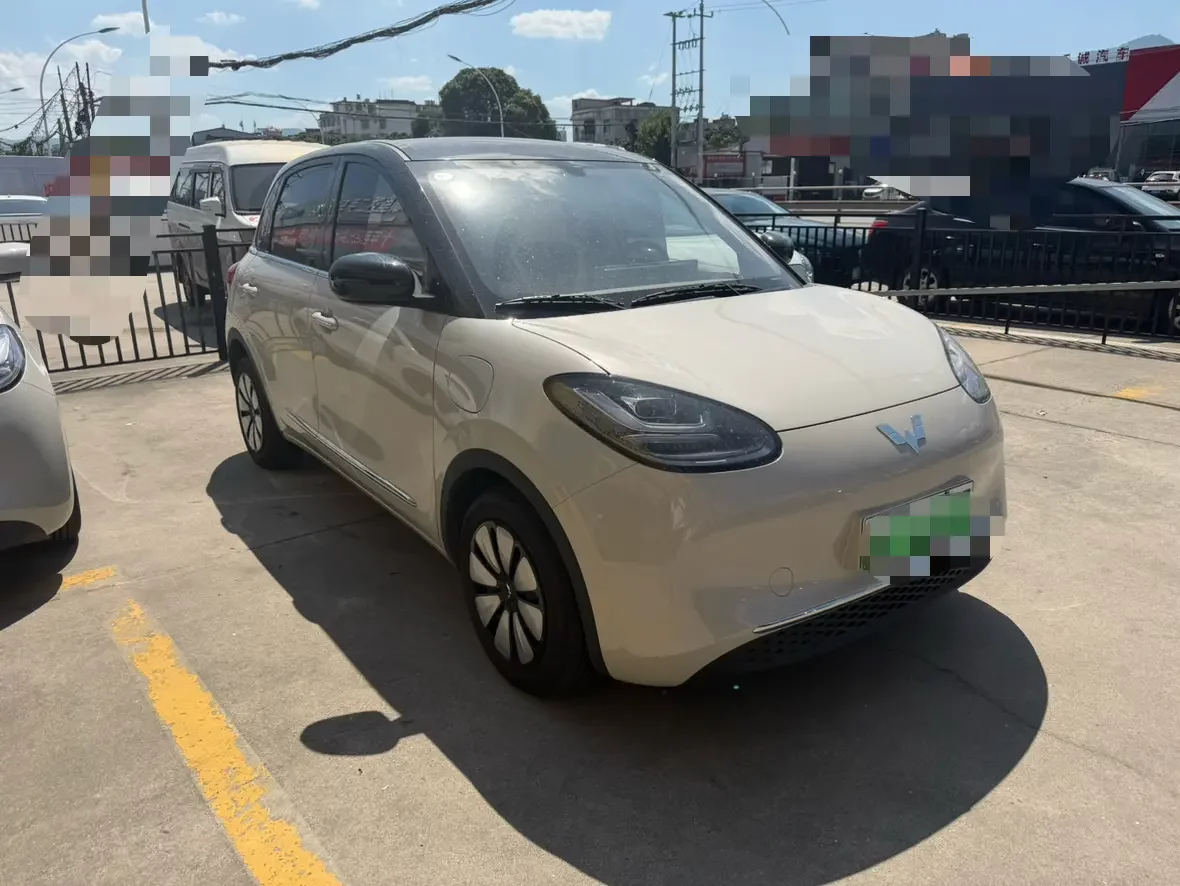 Wuling Bingo