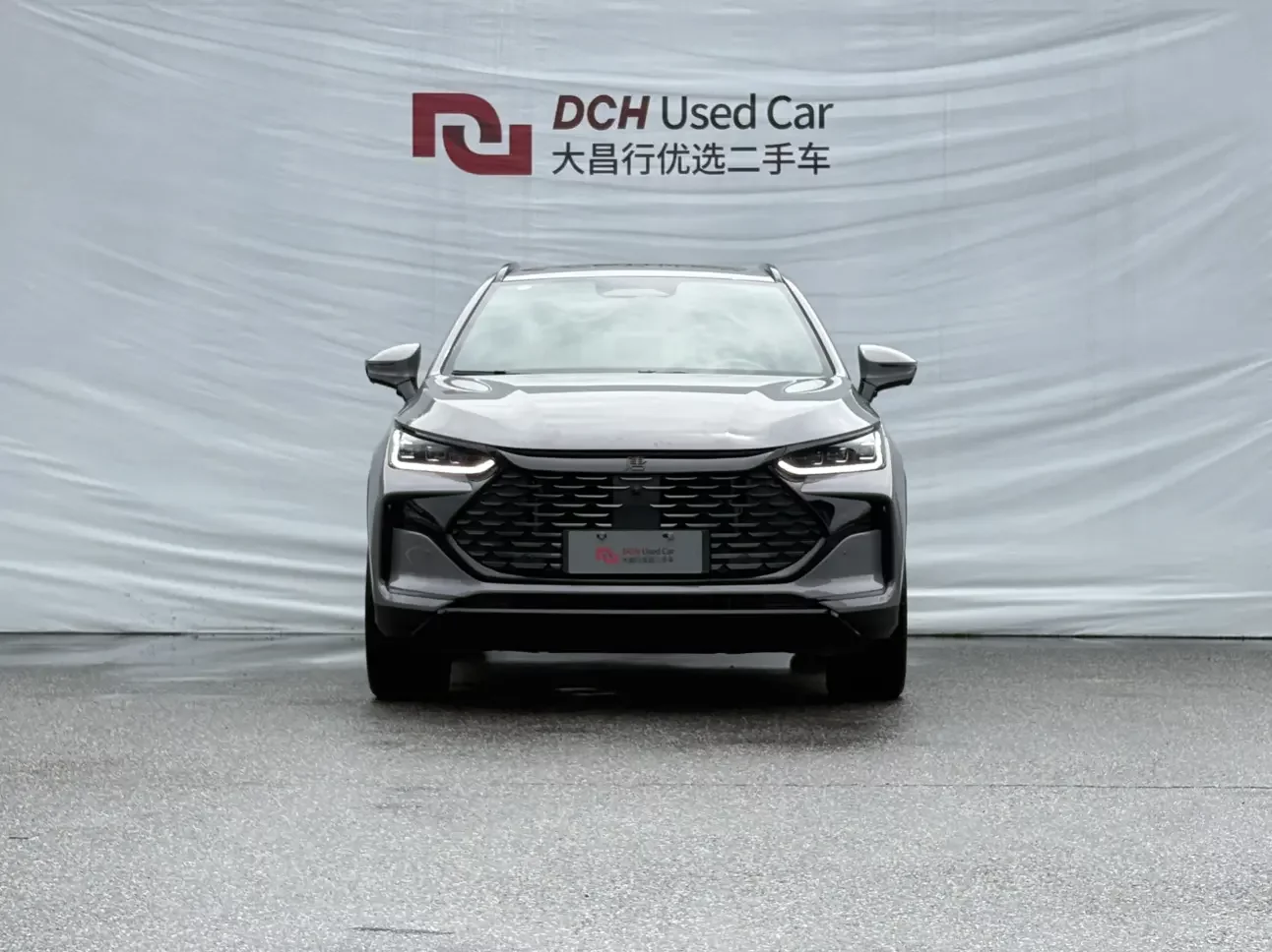 BYD Tang DM