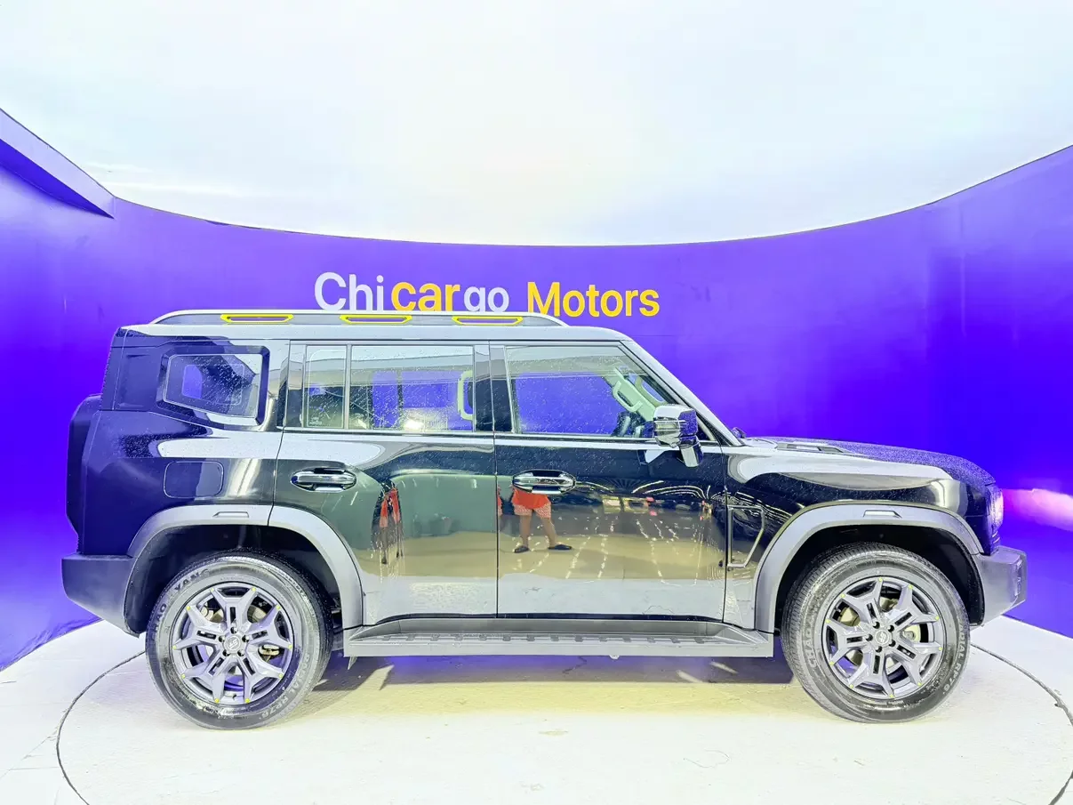 Jietu Shanhai Jetour Traveler C-DM