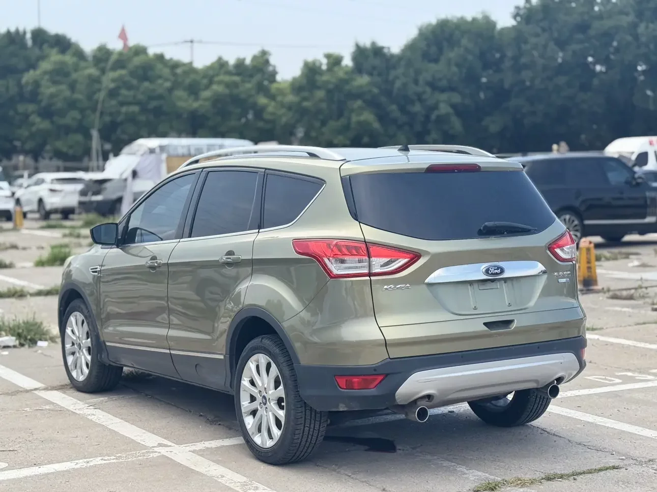 Ford wing tiger