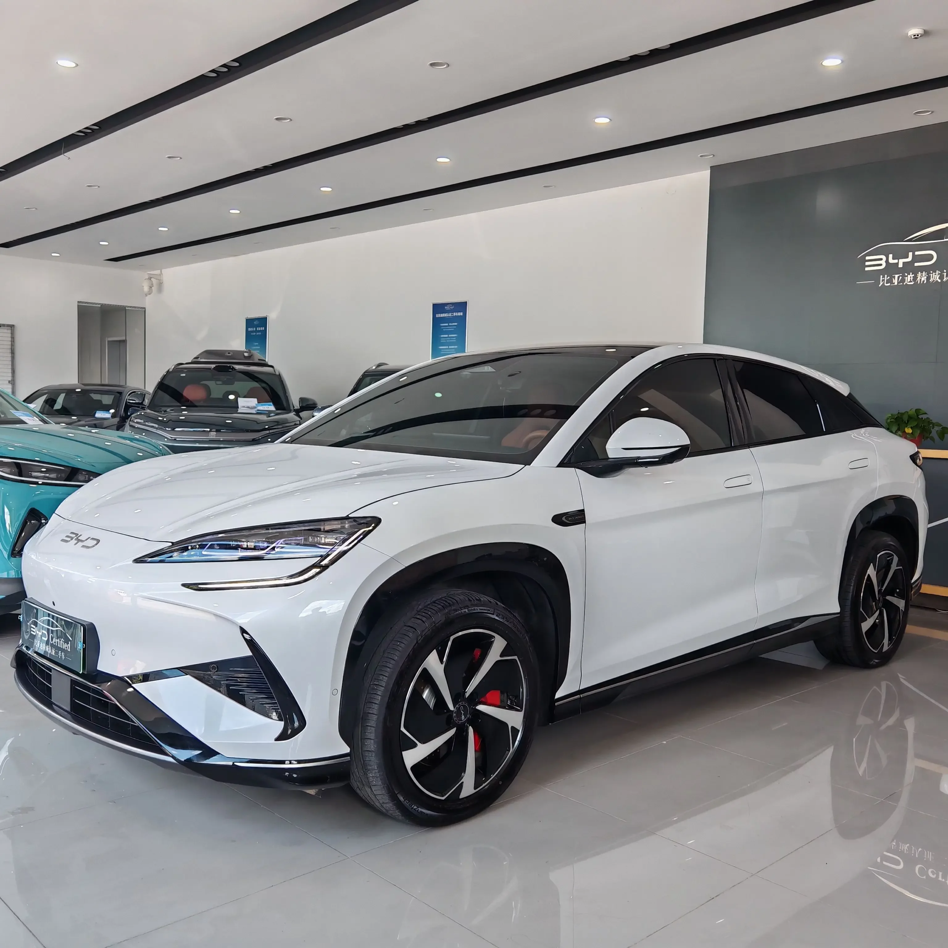 BYD Sea Lion 07EV  из Китая