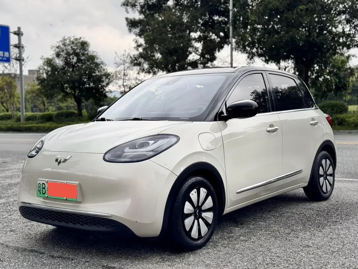 Wuling Bingo