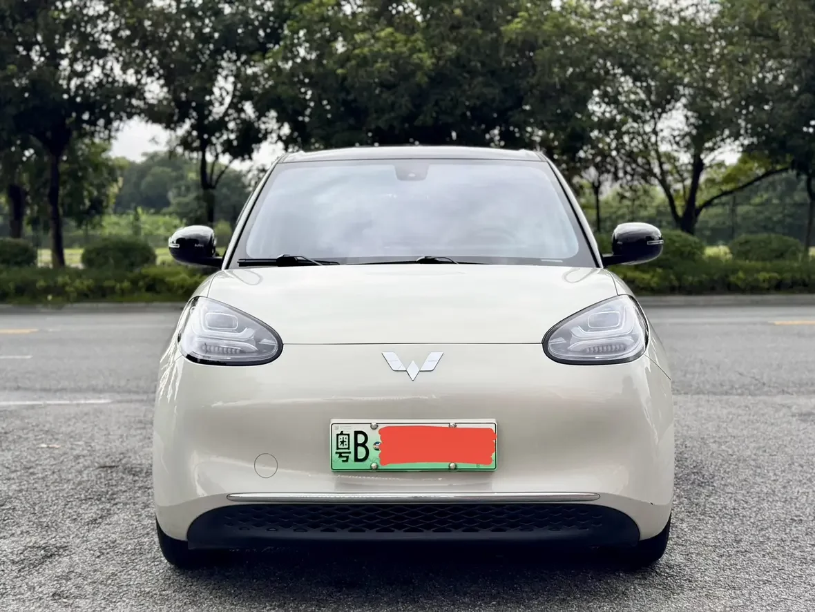 Wuling Bingo
