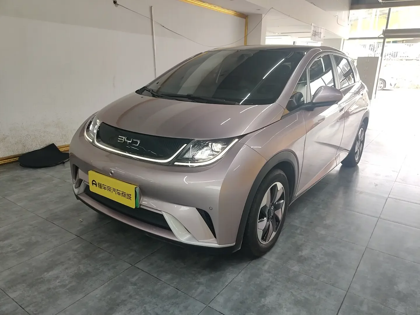 BYD dolphin