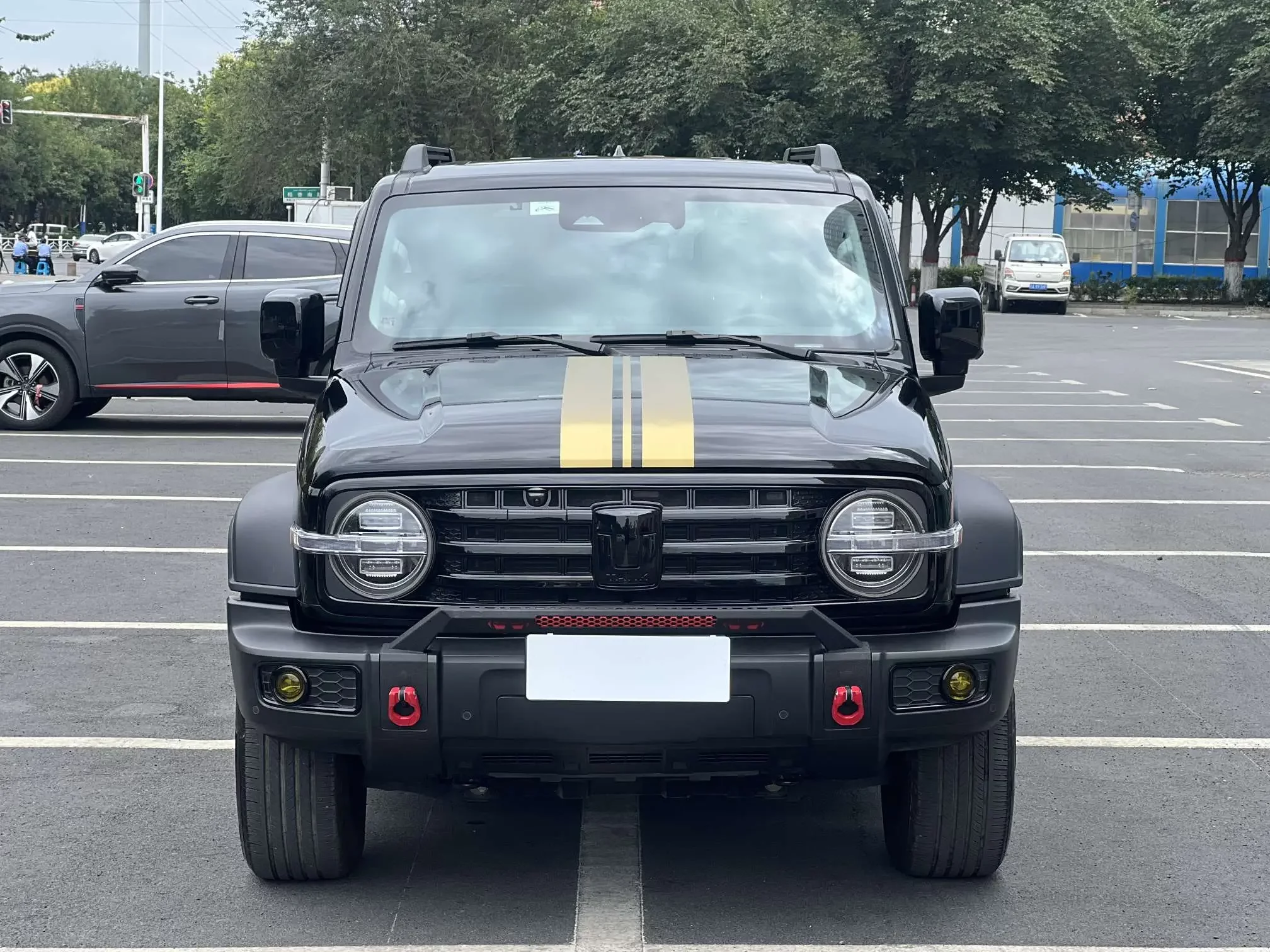 Tank 300