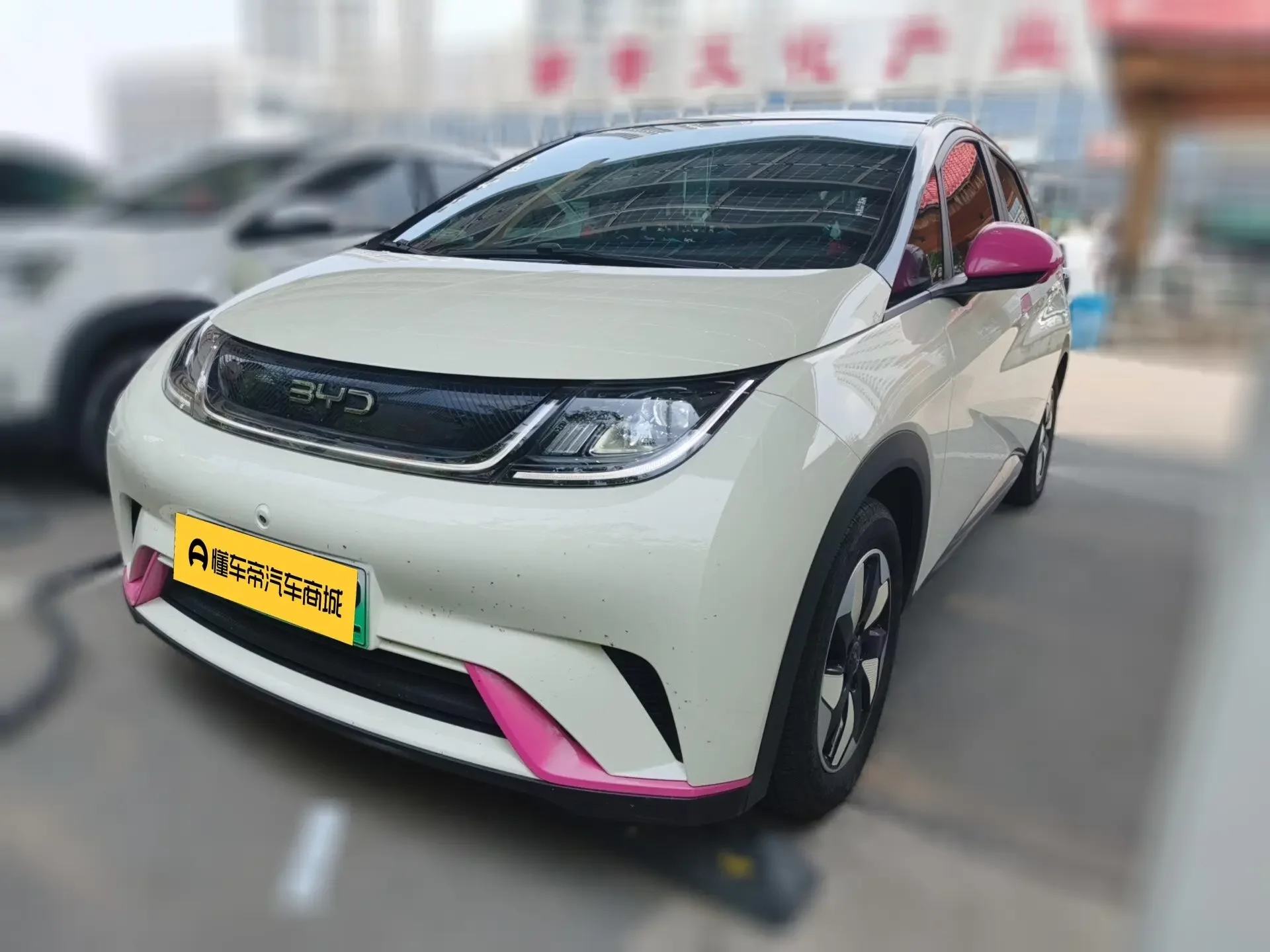 BYD dolphin