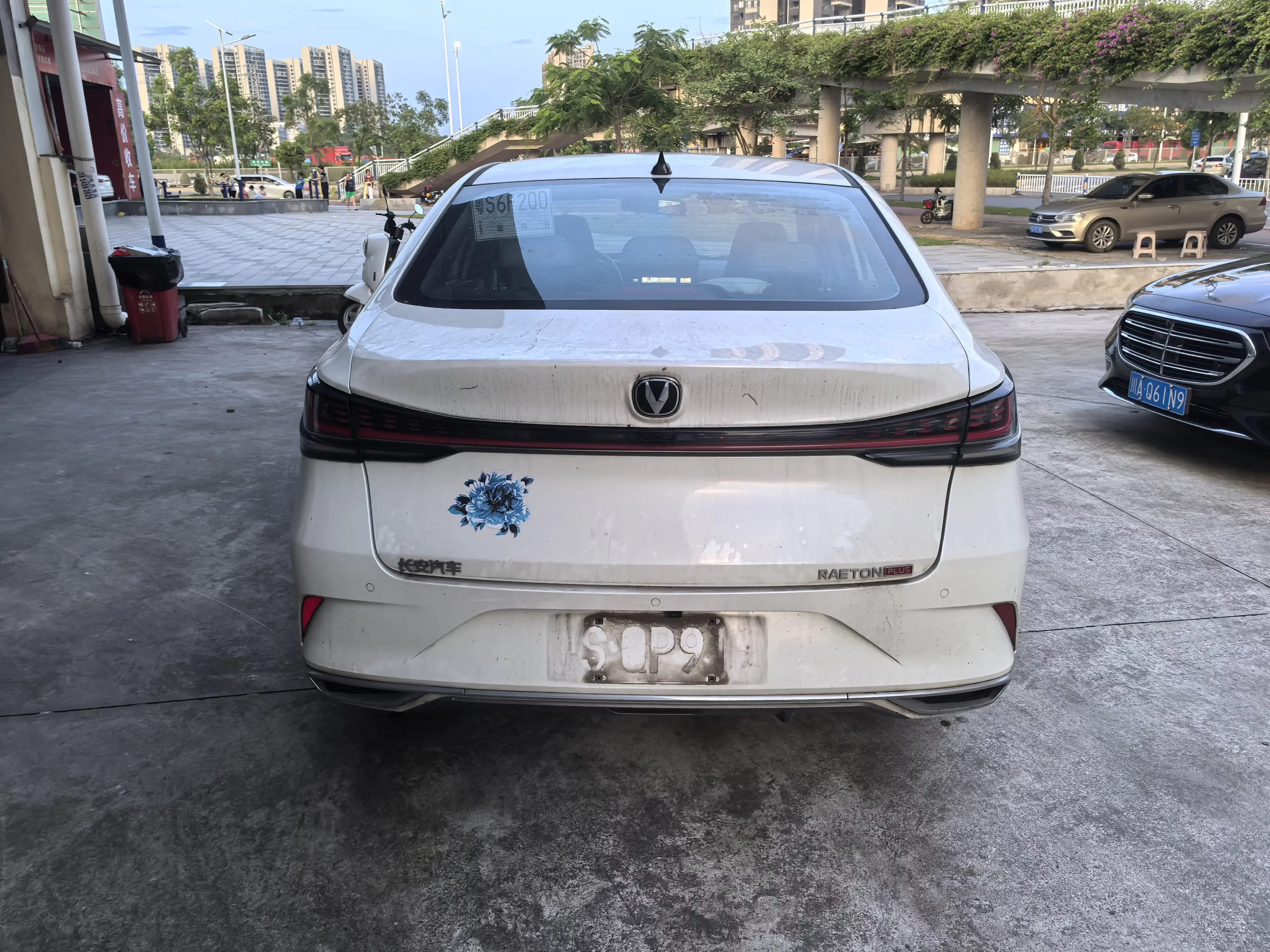 catalog-car-5
