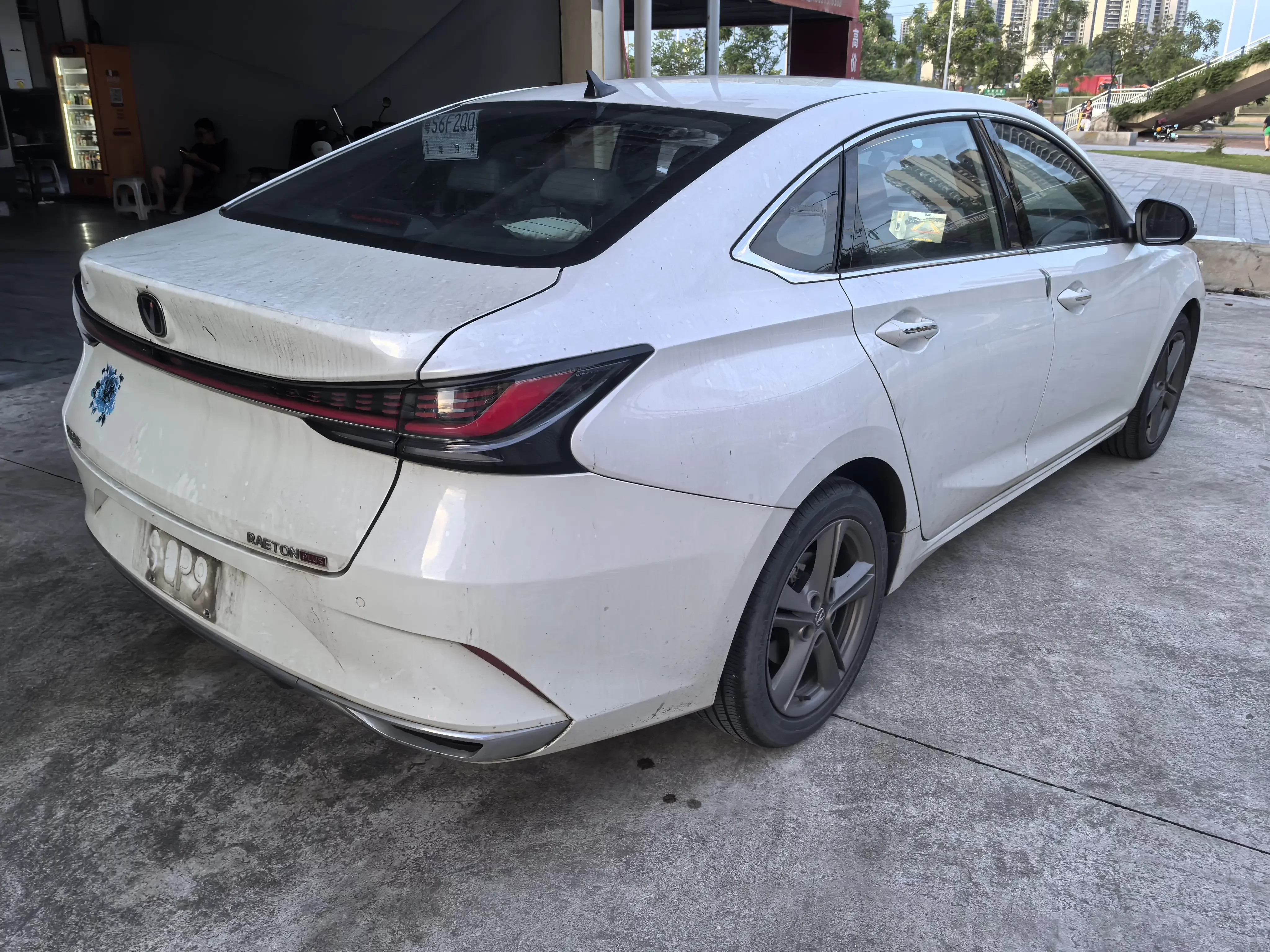 catalog-car-6