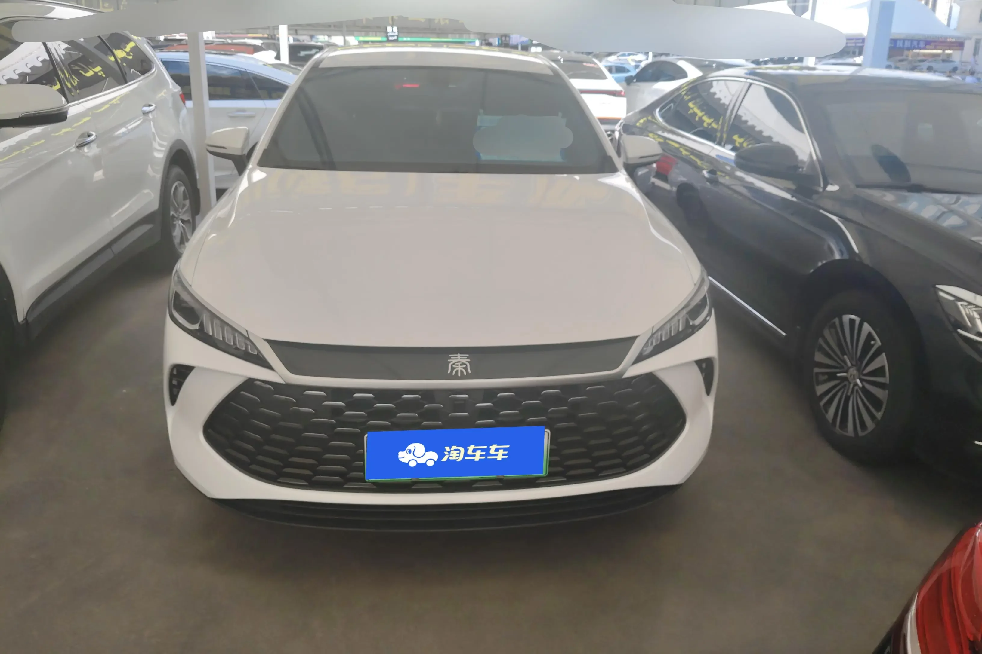 BYD Qin PLUS DM