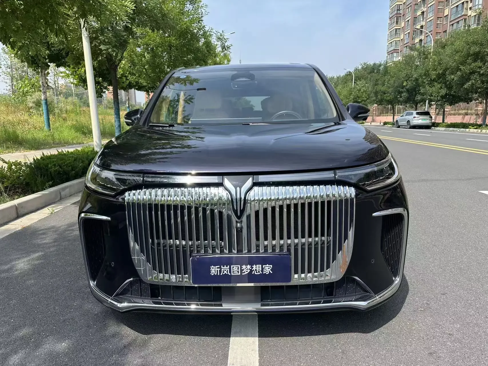 Voyah Lantu Dreamer PHEV  из Китая