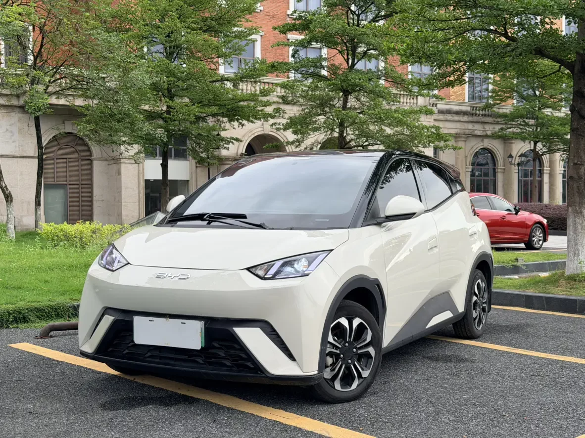 BYD seagull