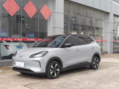 Wuling Bingo PLUS
