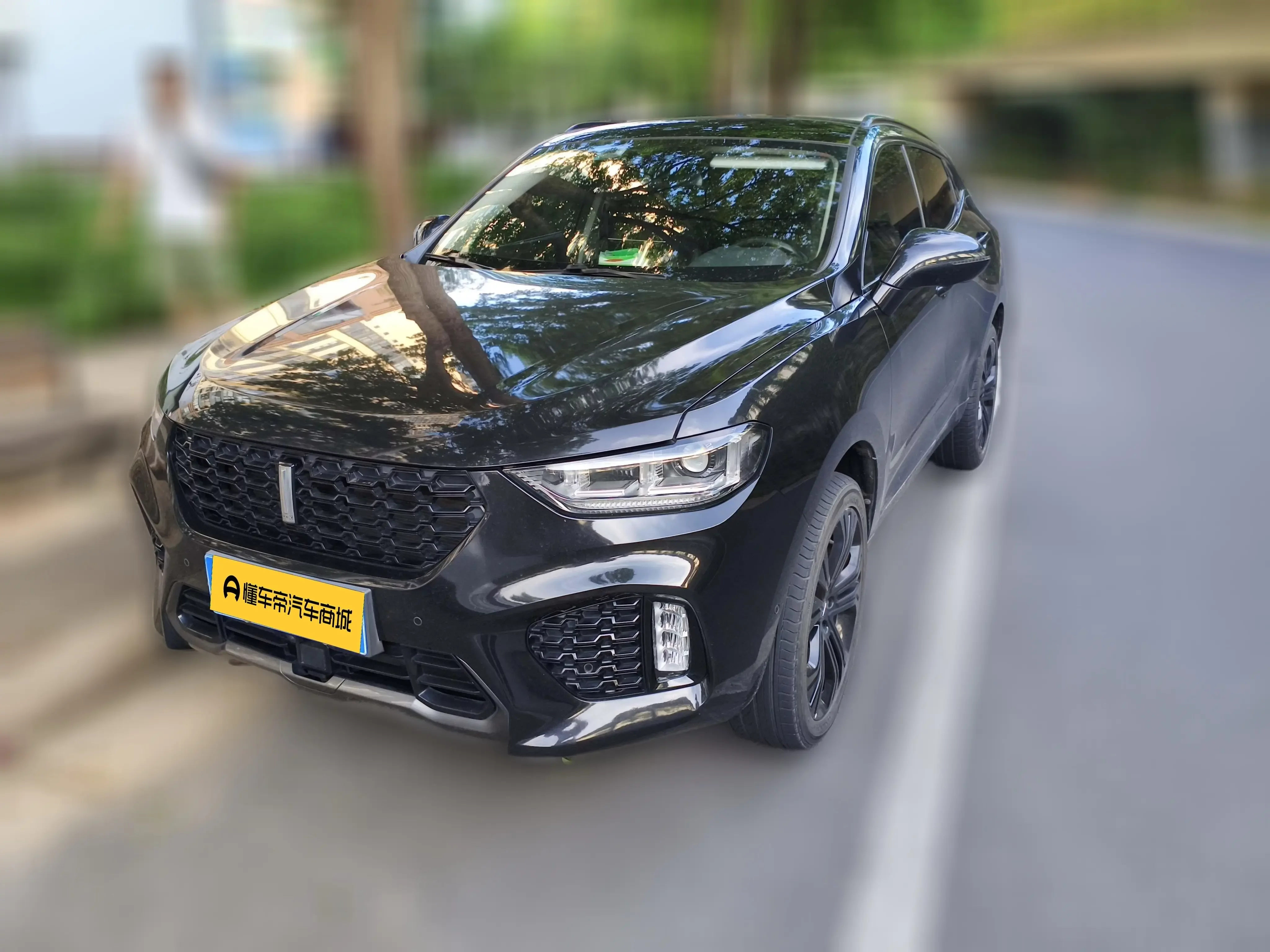 Wey Wei brand VV5