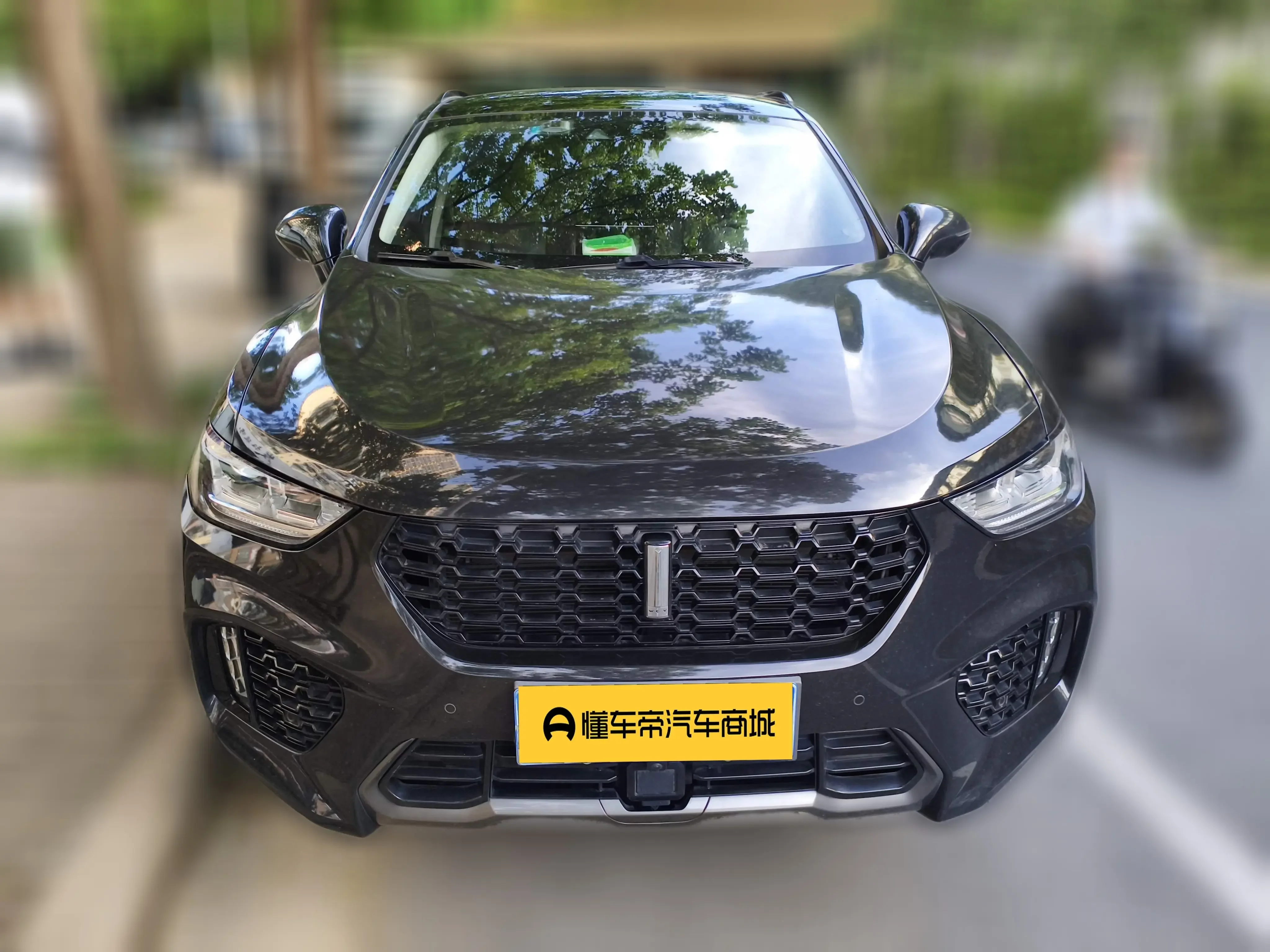 Wey Wei brand VV5