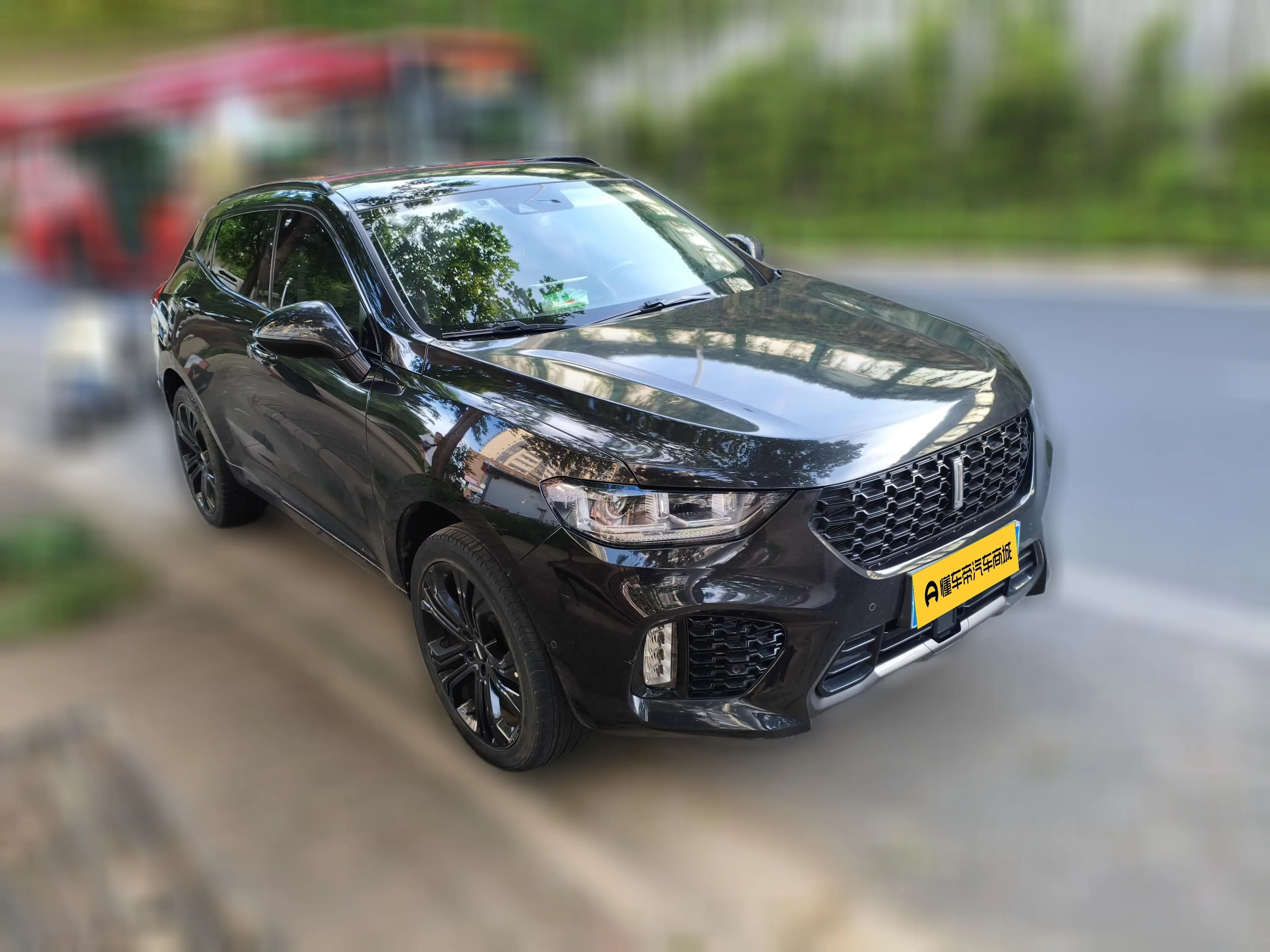 Wey Wei brand VV5