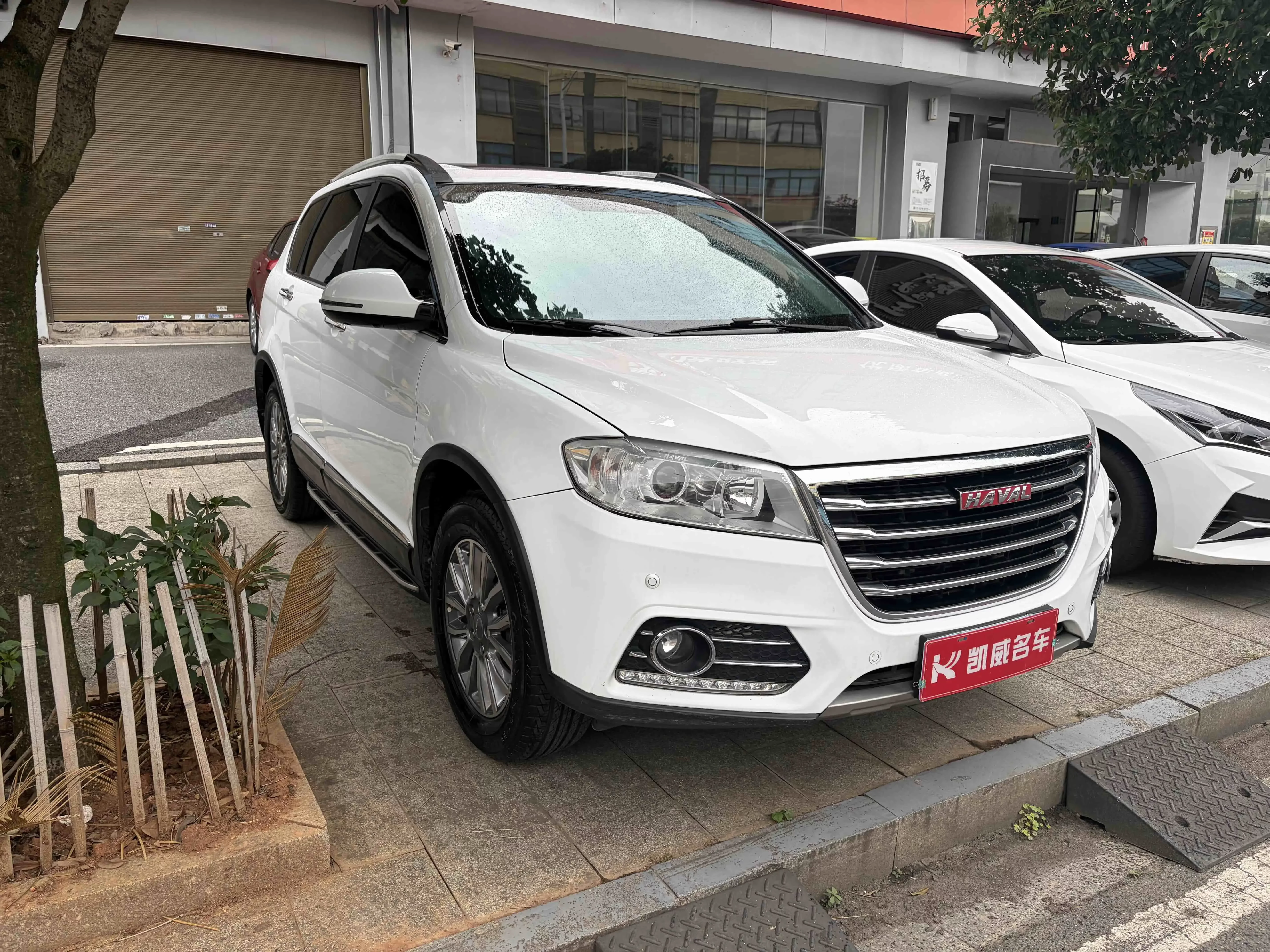 Haval H6