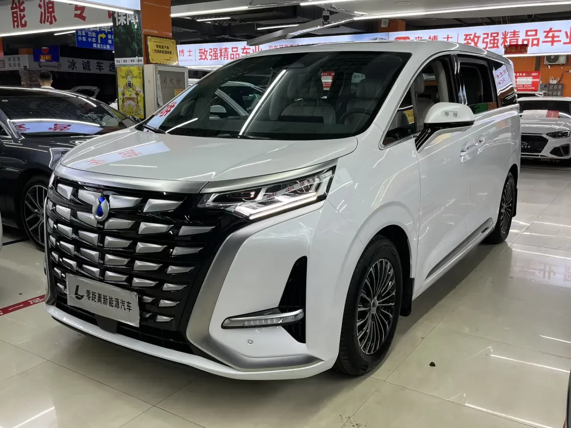 Denza D9 DM