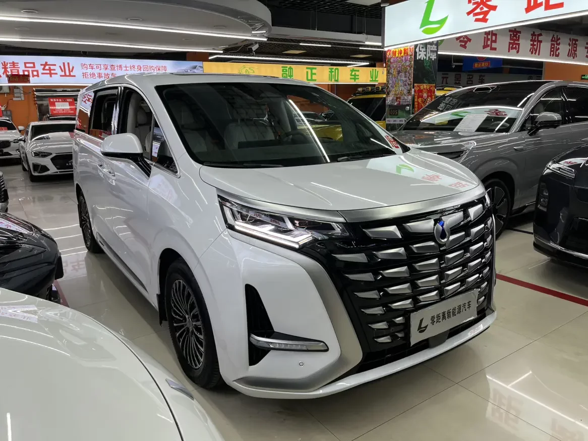 Denza D9 DM