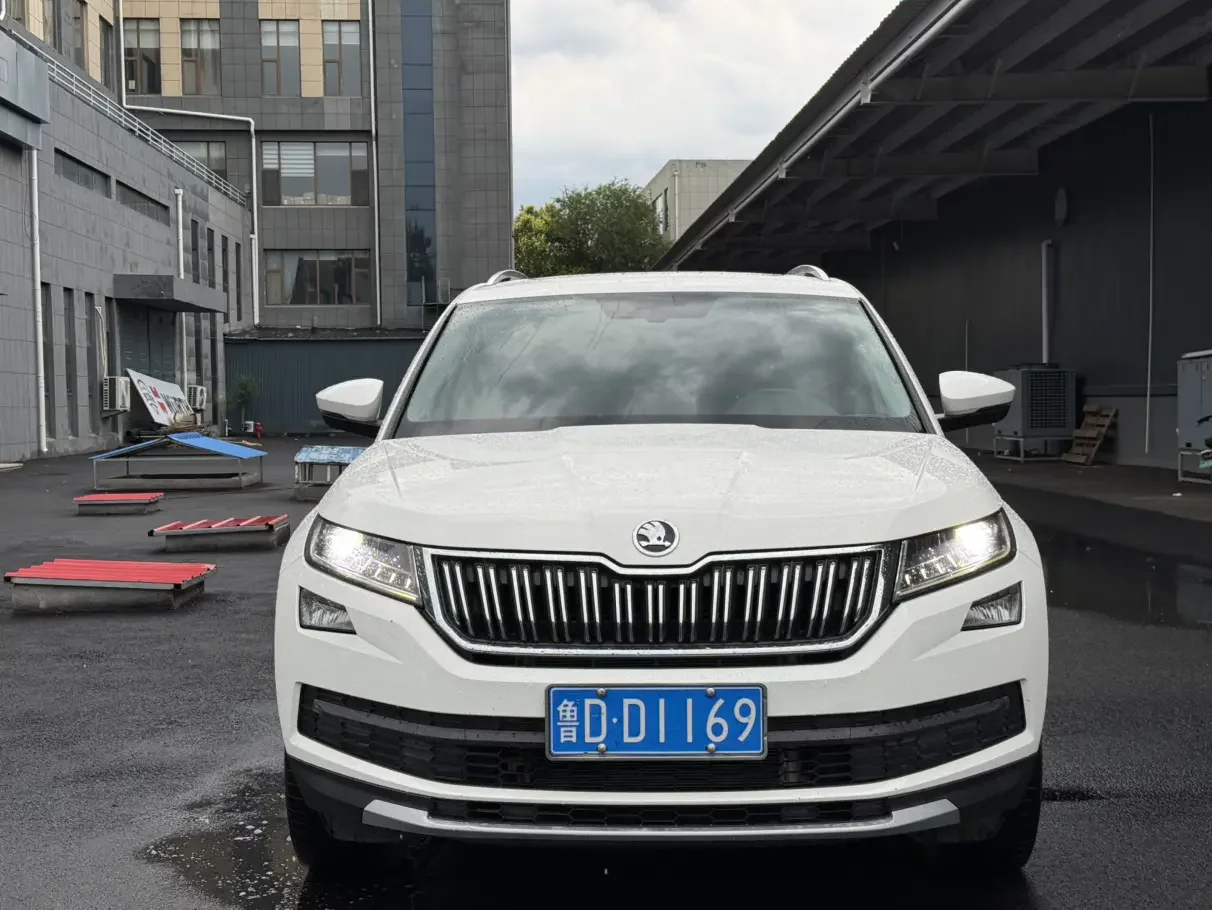Skoda Kodiaq  из Китая