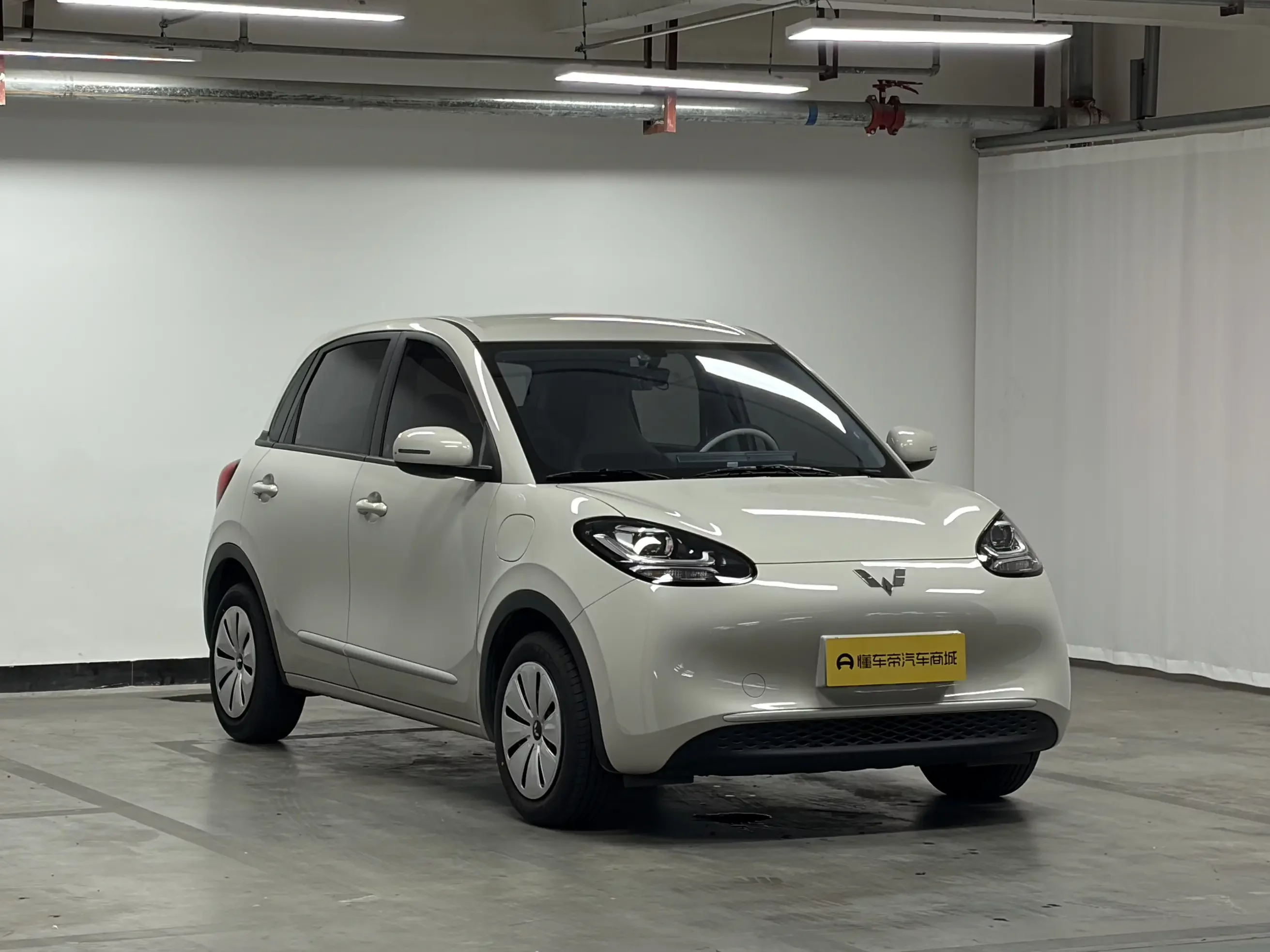 Wuling Bingo
