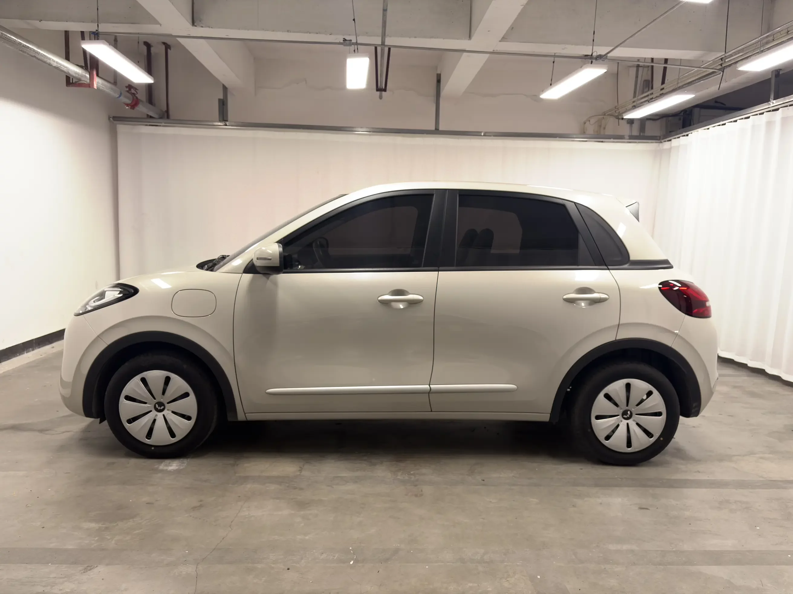 Wuling Bingo