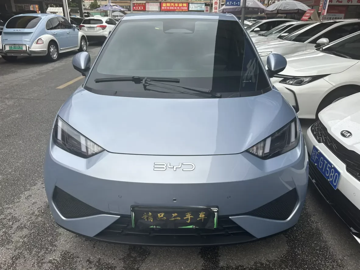 BYD seagull