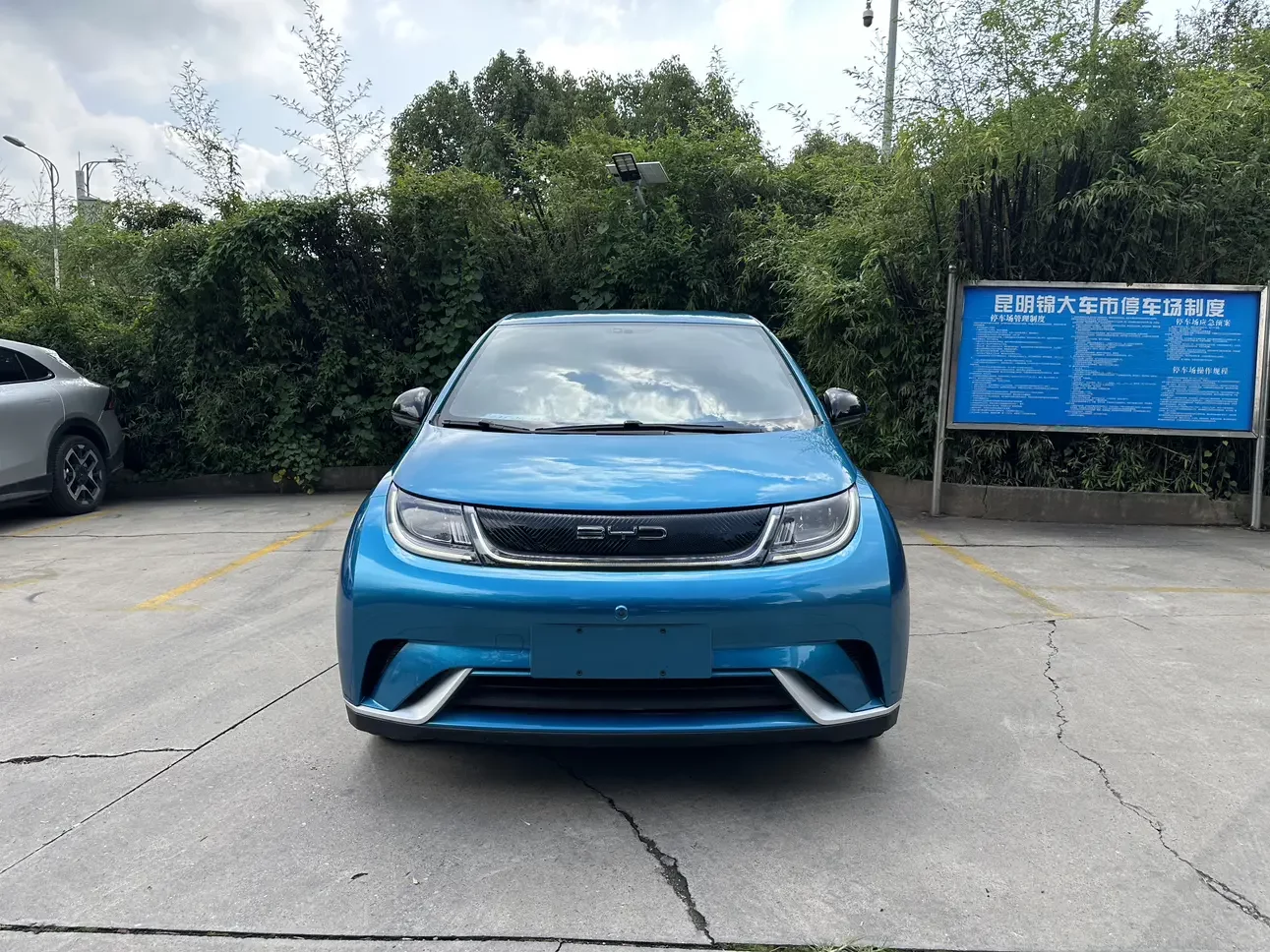 BYD dolphin