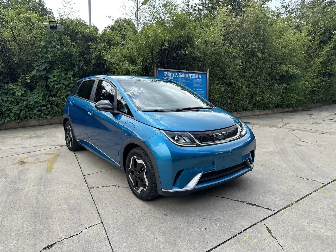 BYD dolphin