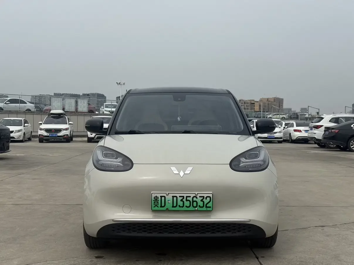 Wuling Bingo