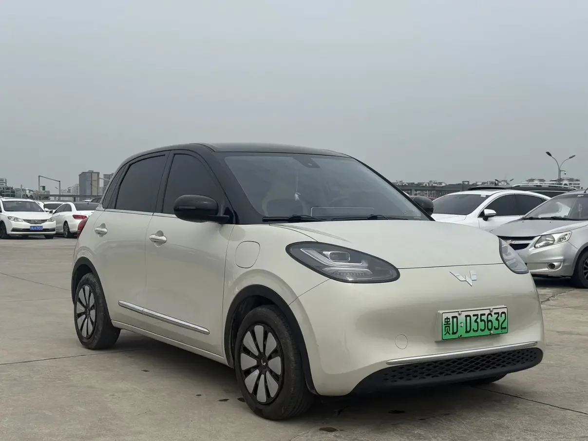 Wuling Bingo