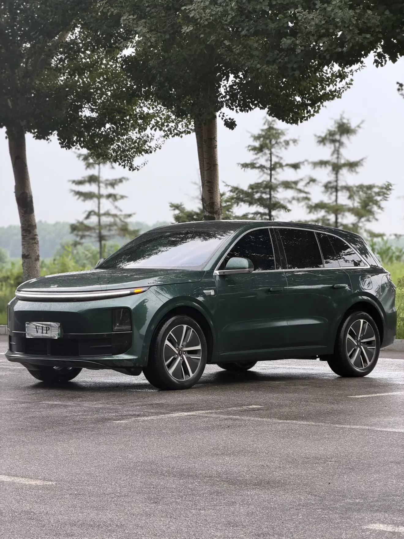 Lixiang L6
