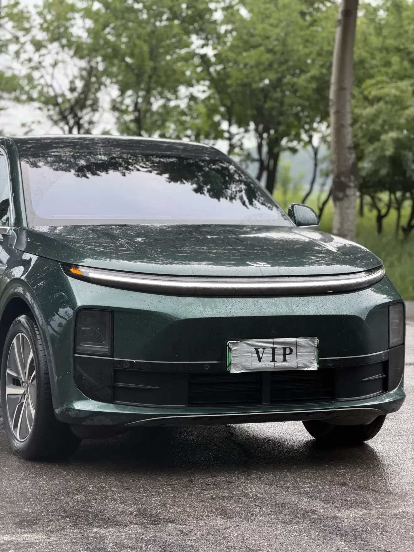 Lixiang L6