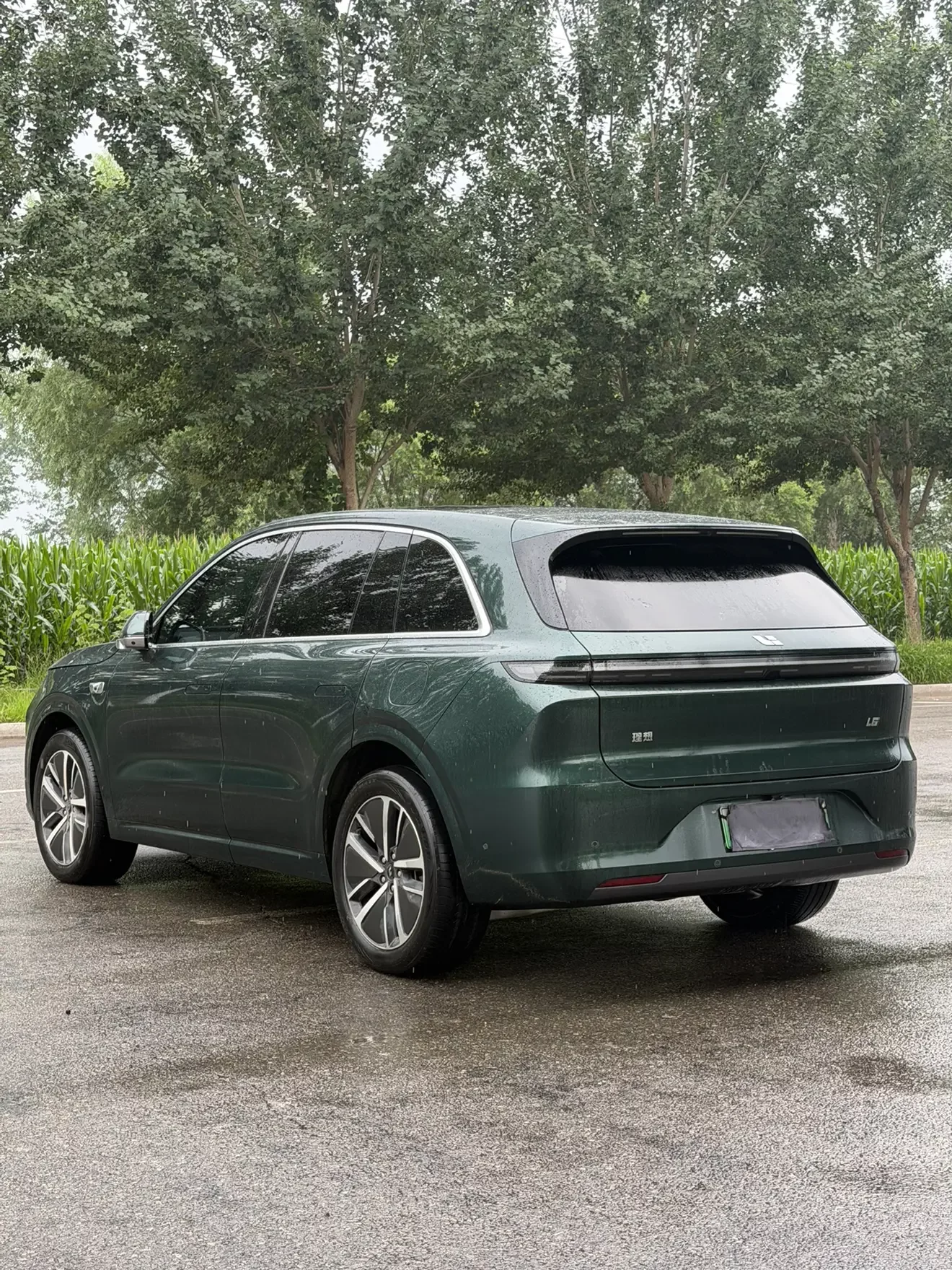 Lixiang L6