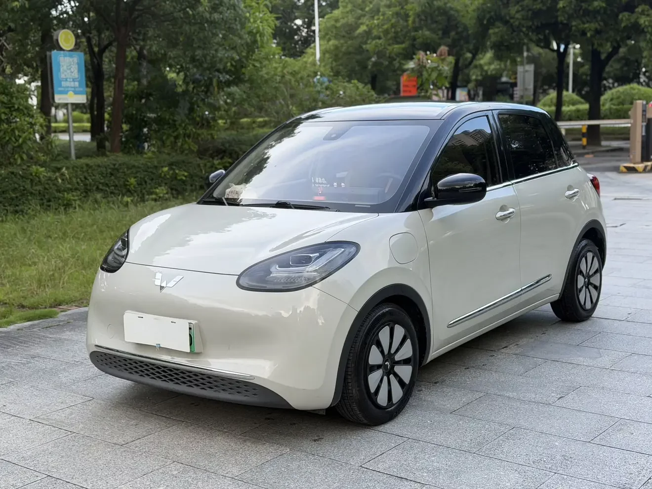 Wuling Bingo