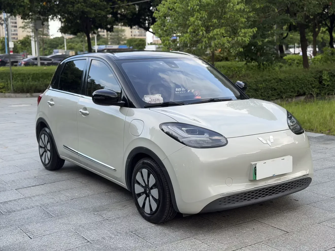 Wuling Bingo
