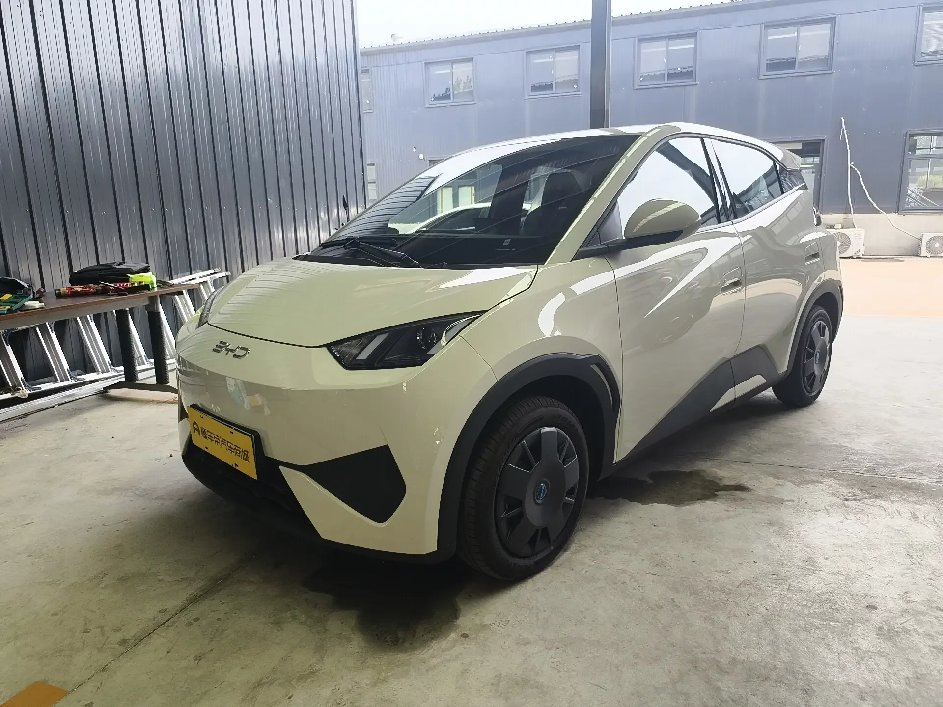 BYD seagull