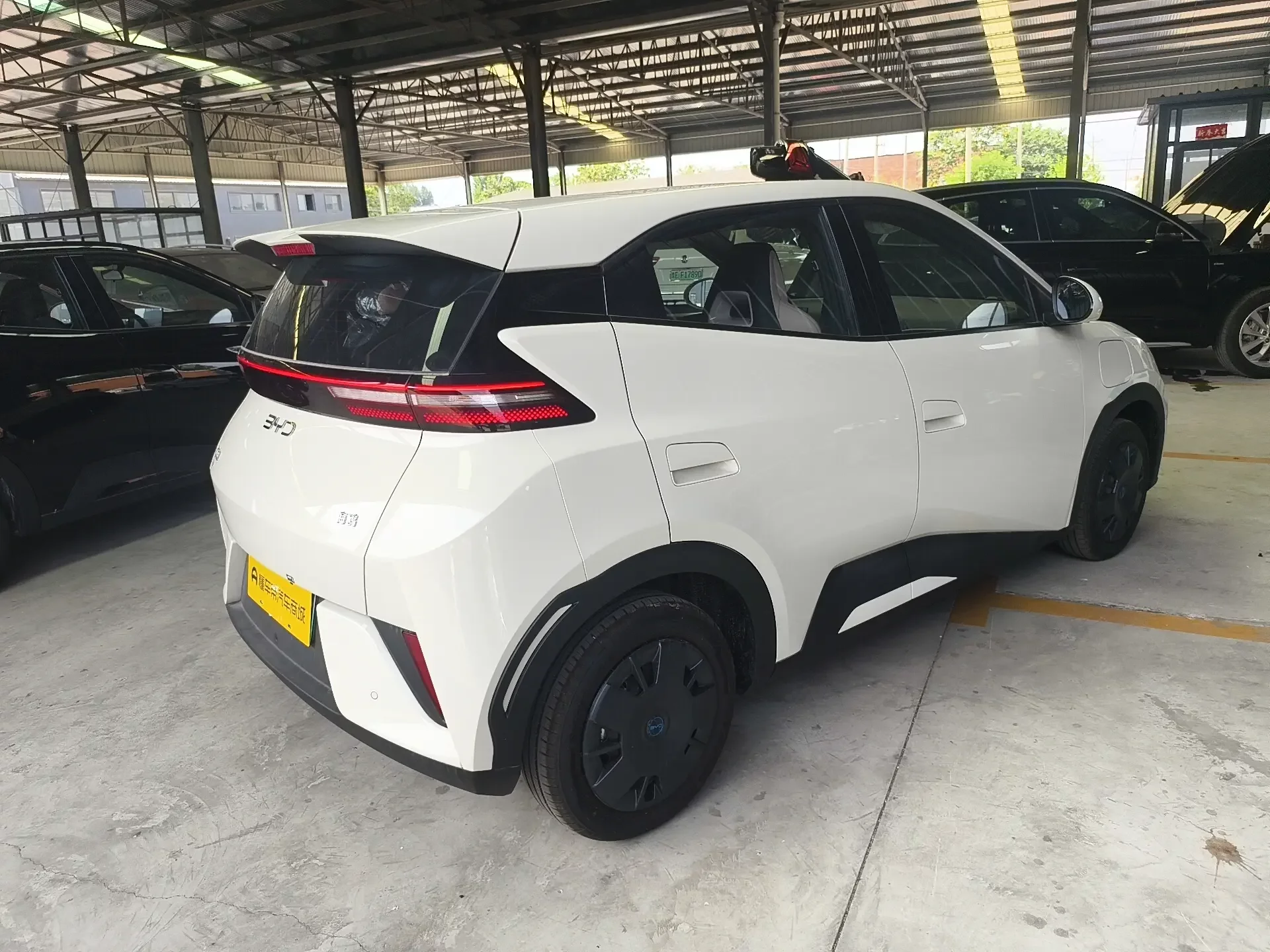 BYD seagull