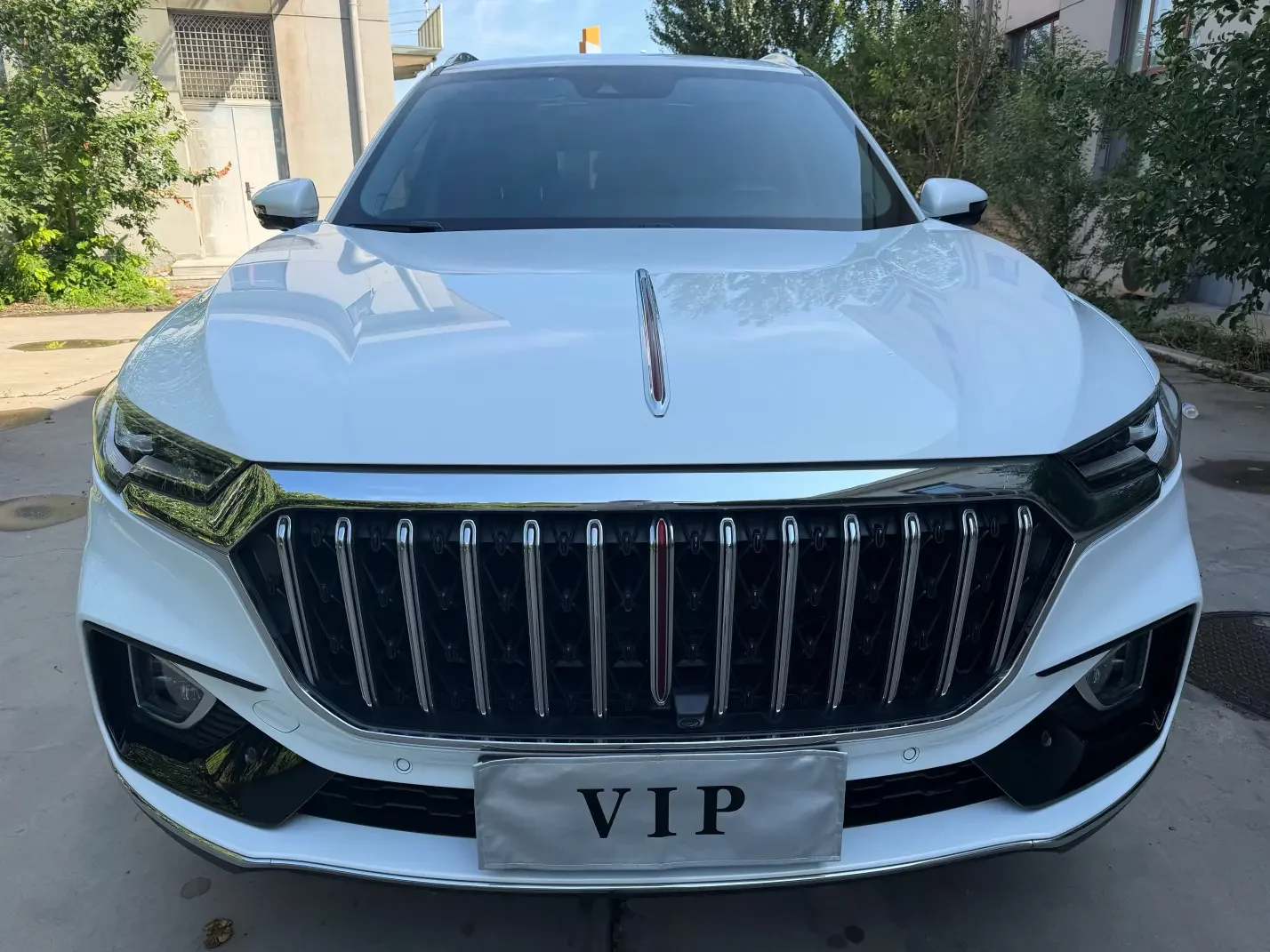 Hongqi HS5