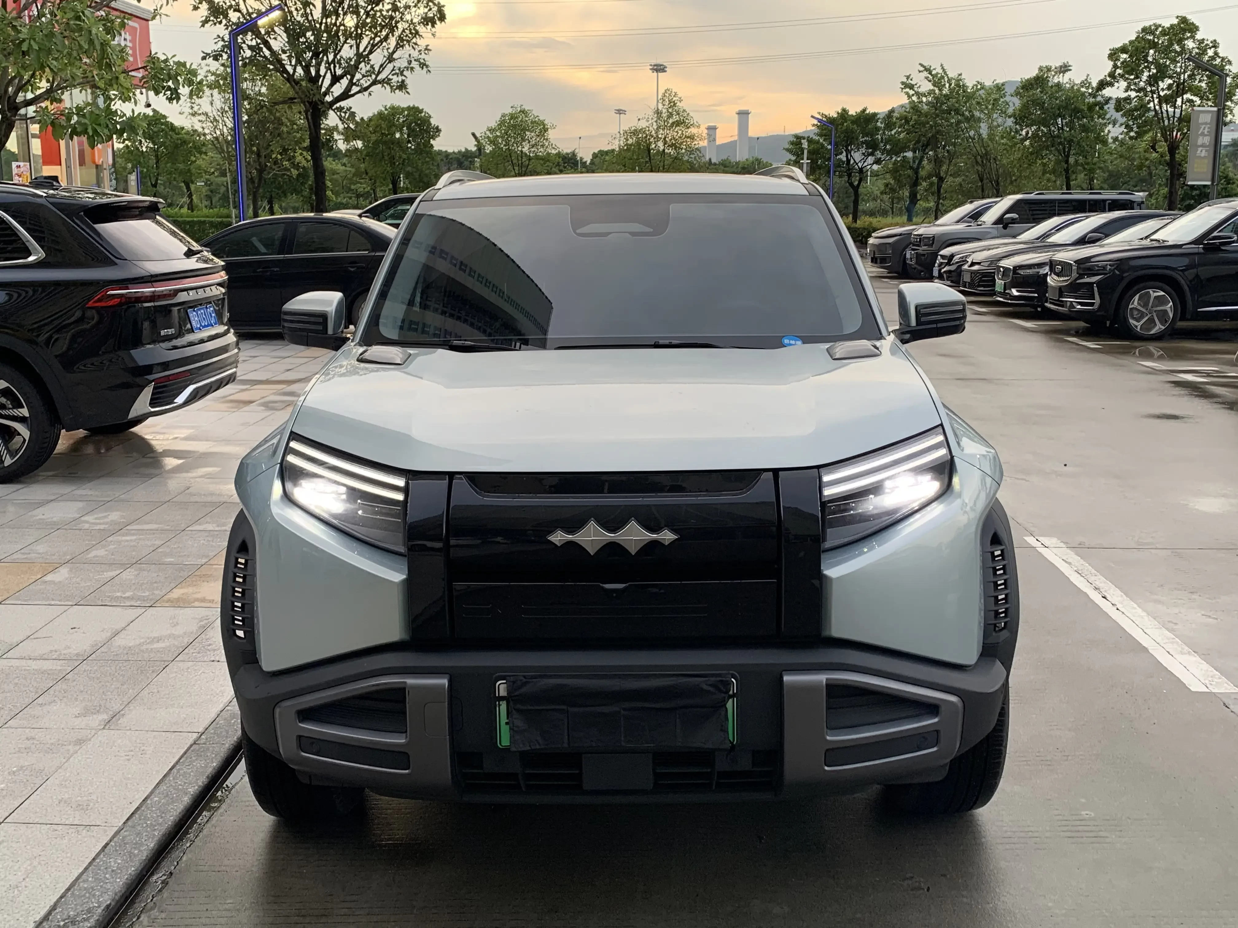 BYD Leopard Titanium 3