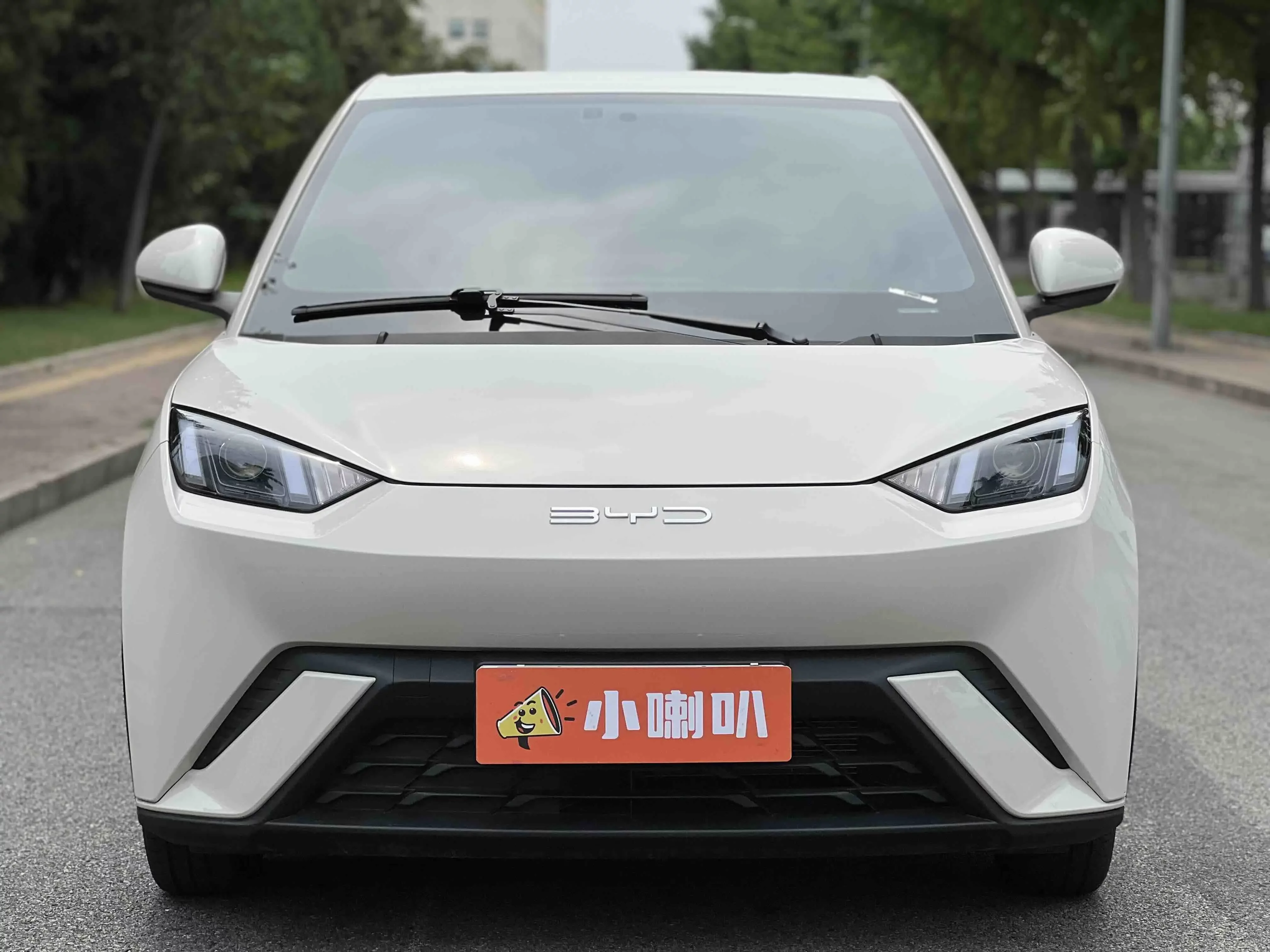 BYD seagull