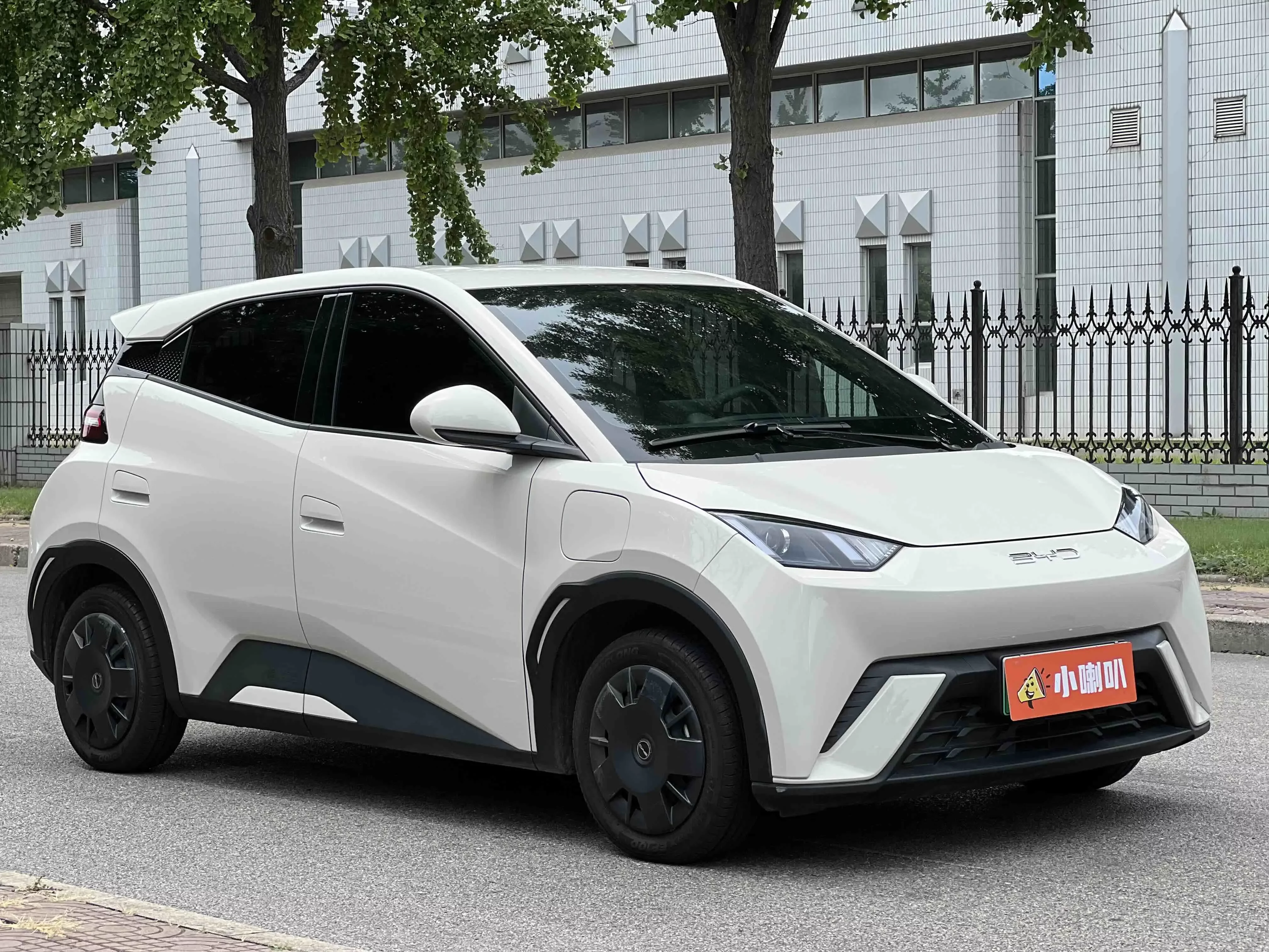 BYD seagull