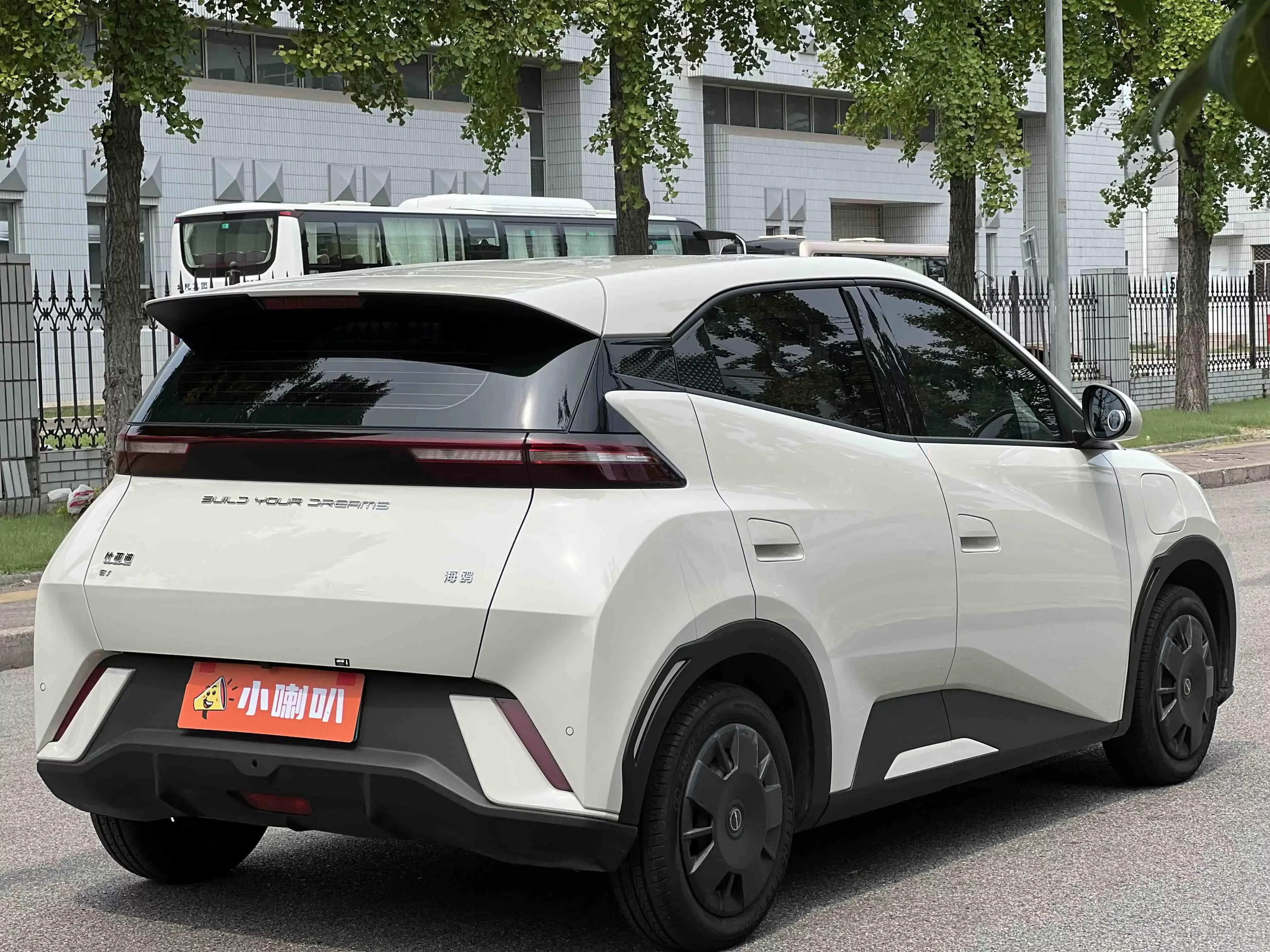 BYD seagull