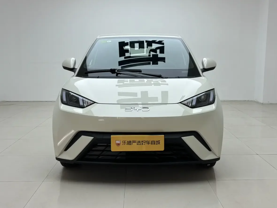 BYD seagull  из Китая