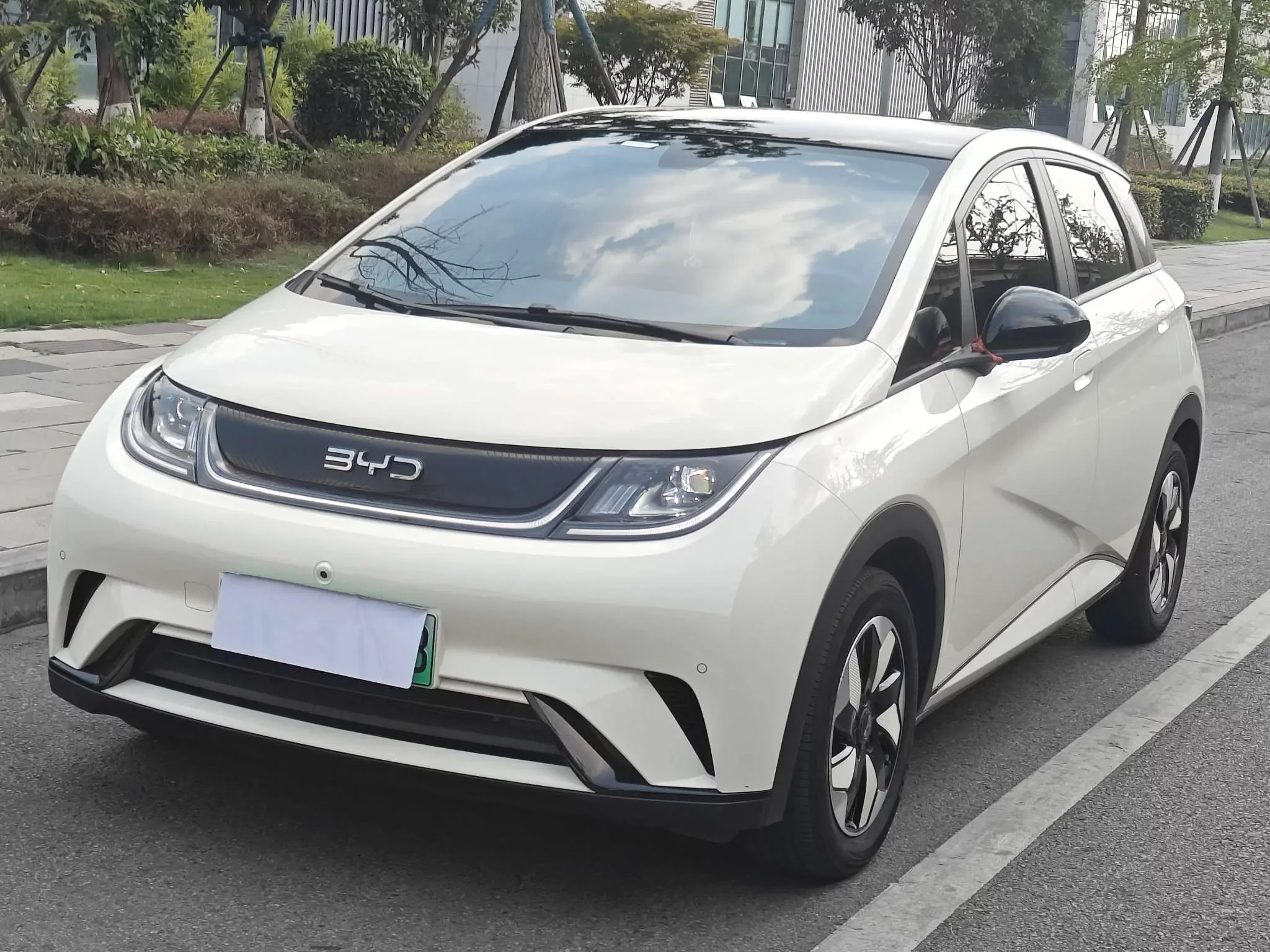 BYD dolphin