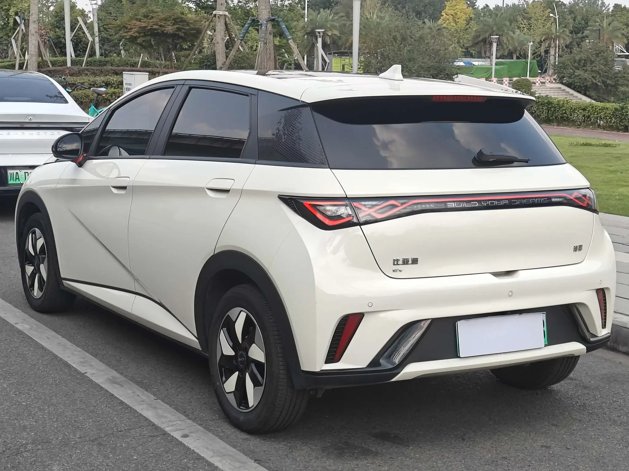 BYD dolphin