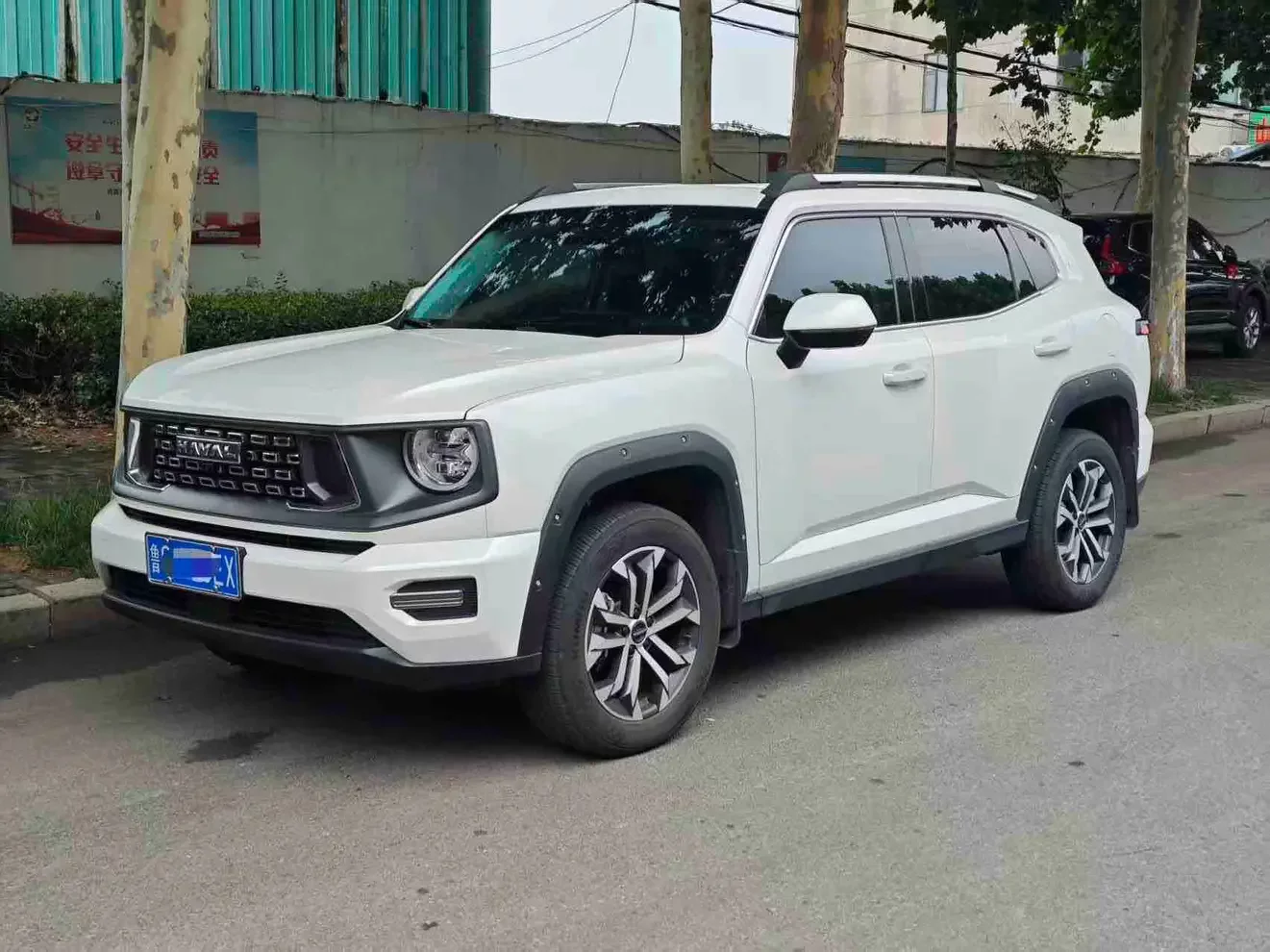 Haval H-Dog (Big Dog PLUS)  из Китая